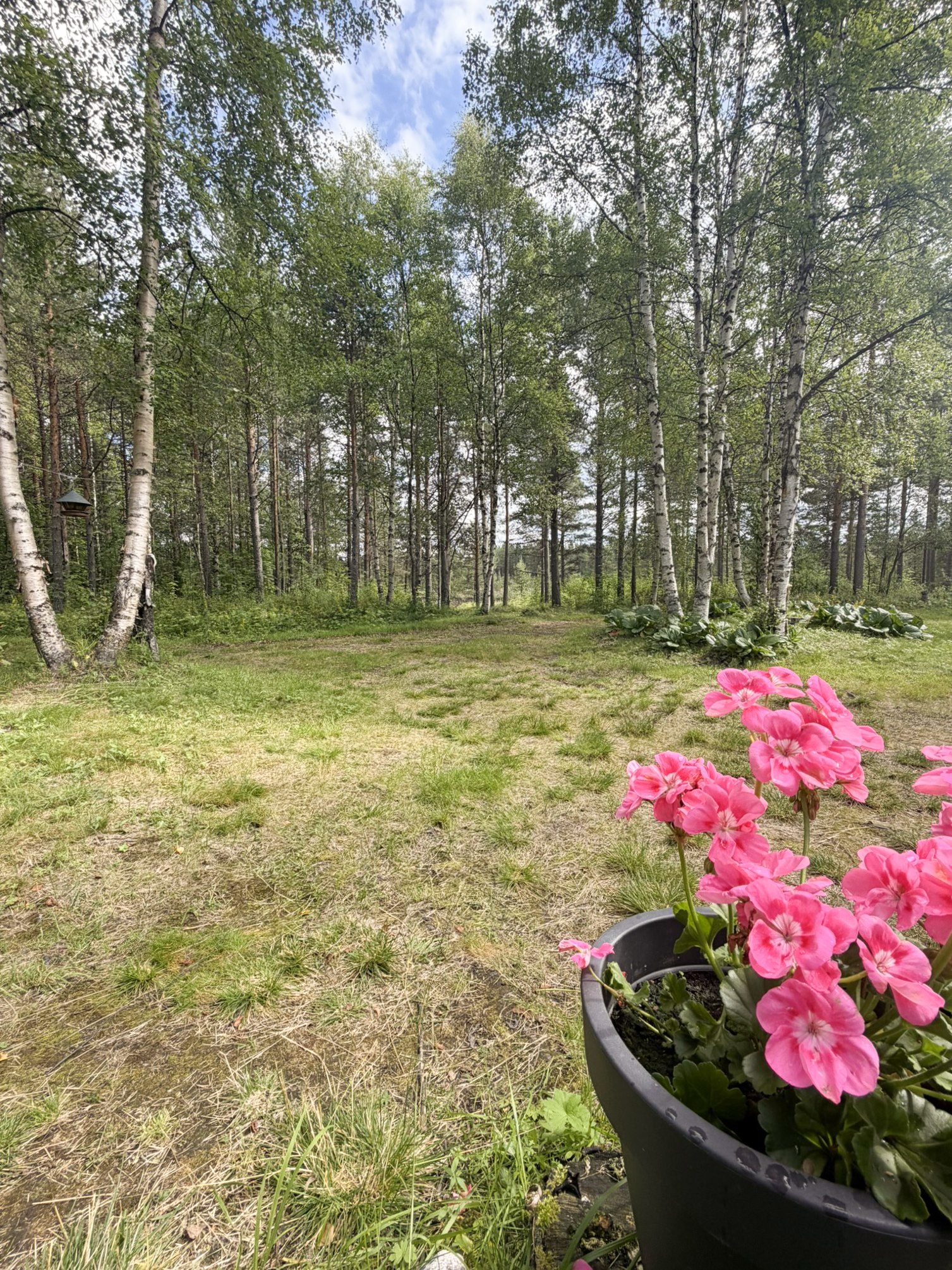 Kuppisvaarantie 201i, Ivalo, Inari