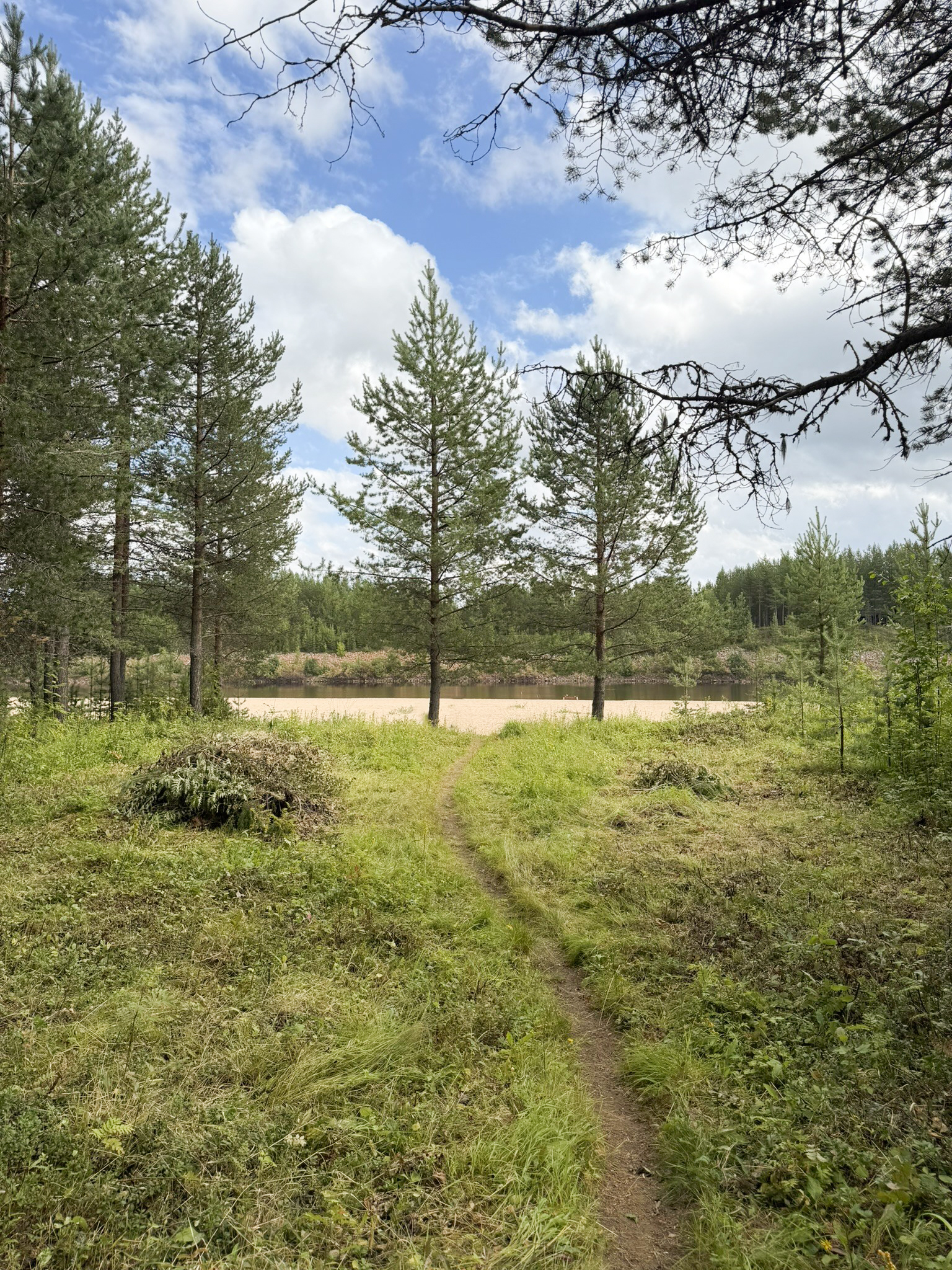 Polku hiekkarannalle