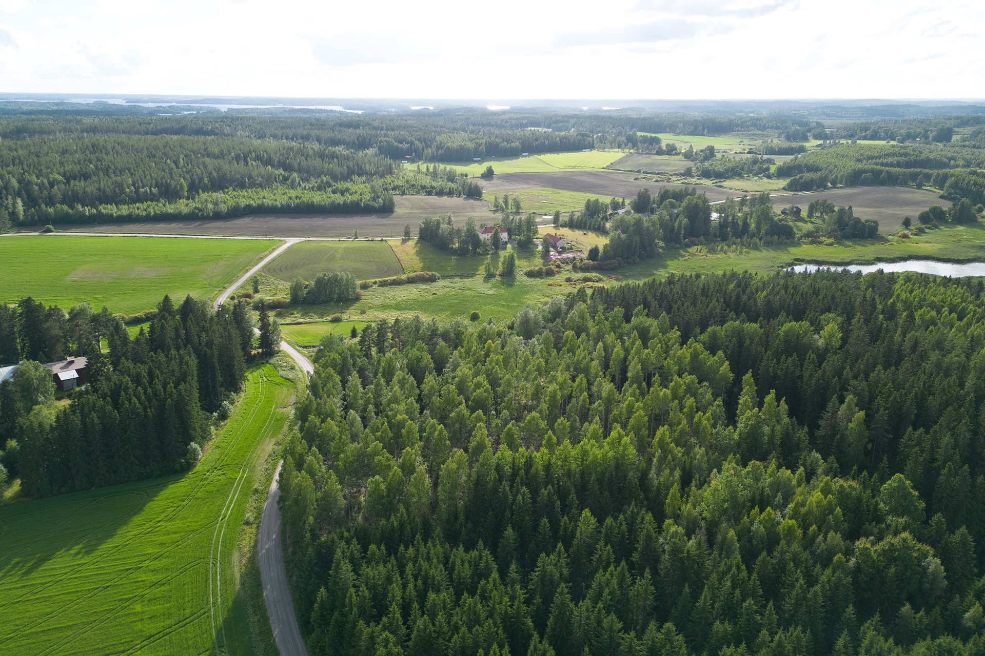 Nuutilanlahdentie 40, Velaatta