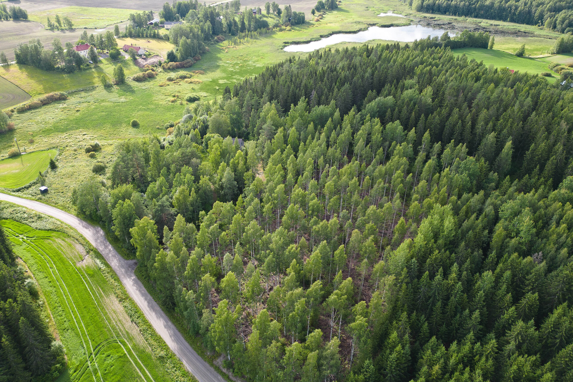 Nuutilanlahdentie 40, Velaatta