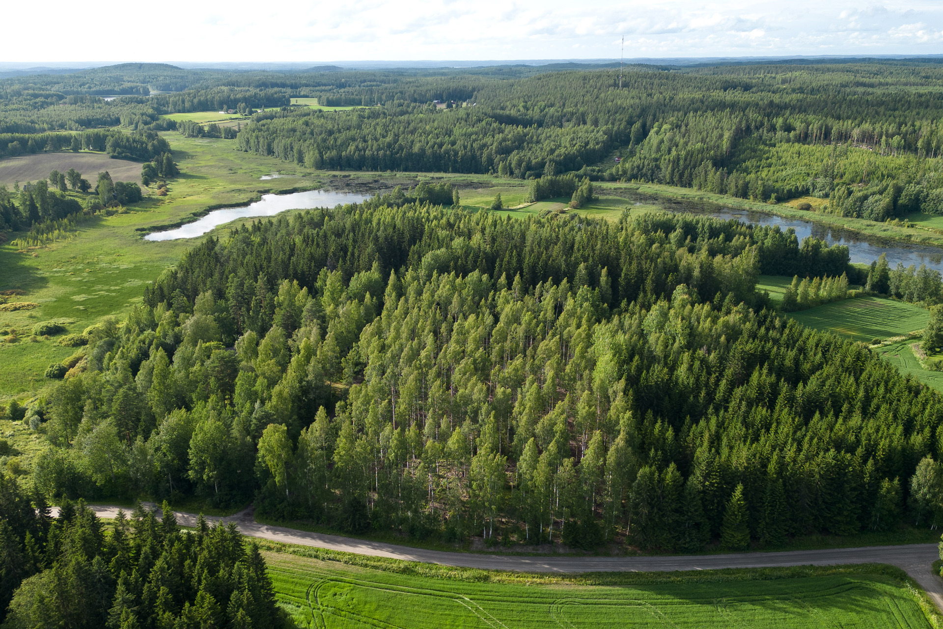 Nuutilanlahdentie 40, Velaatta