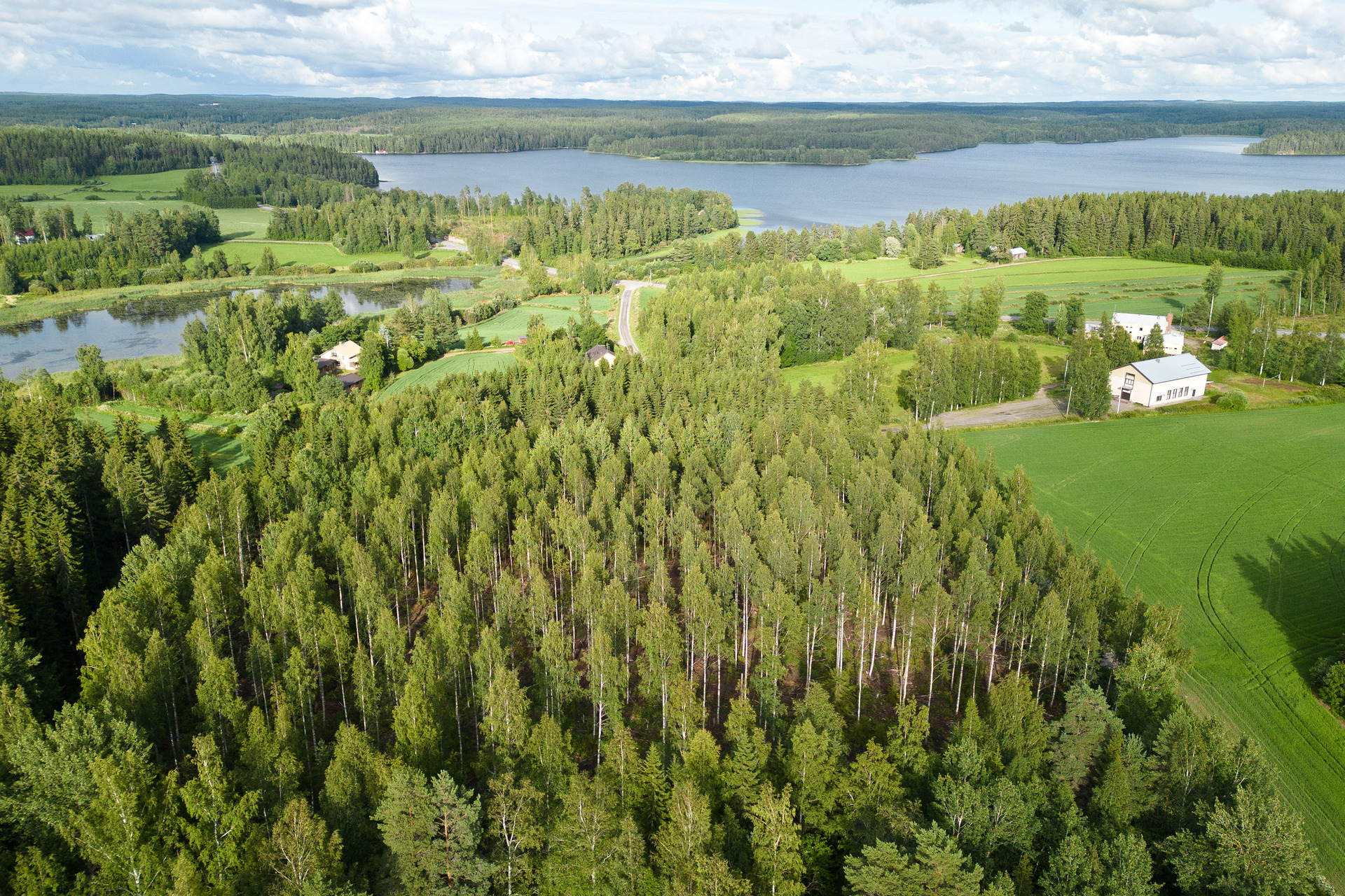 Nuutilanlahdentie 40, Velaatta