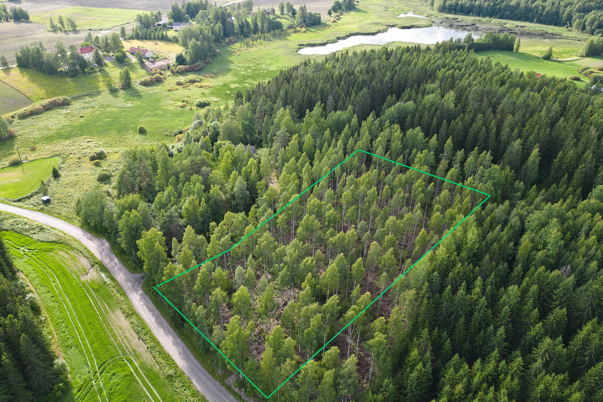 Nuutilanlahdentie 40, Velaatta