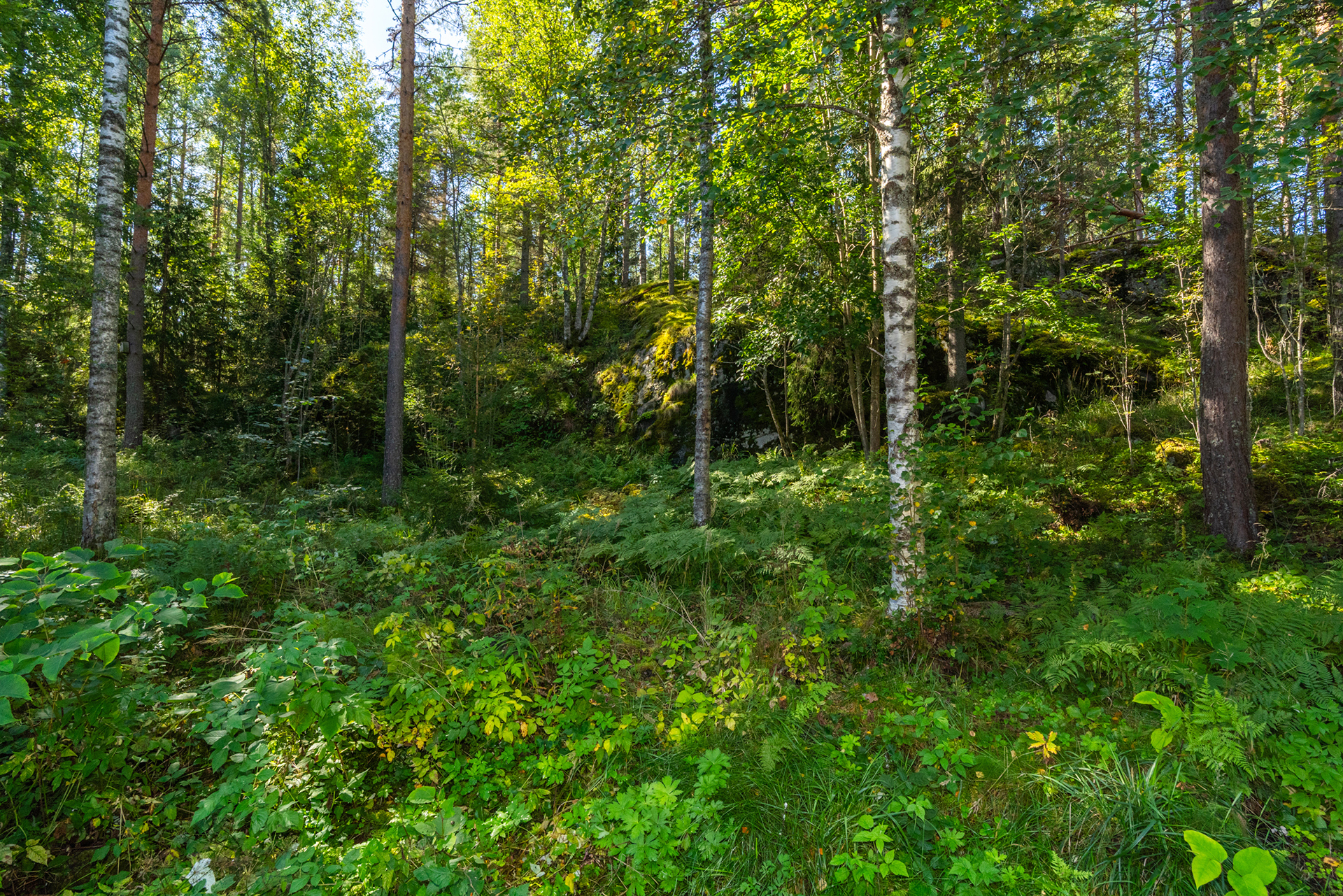 Ahkionkatu 4, Atala, Tampere