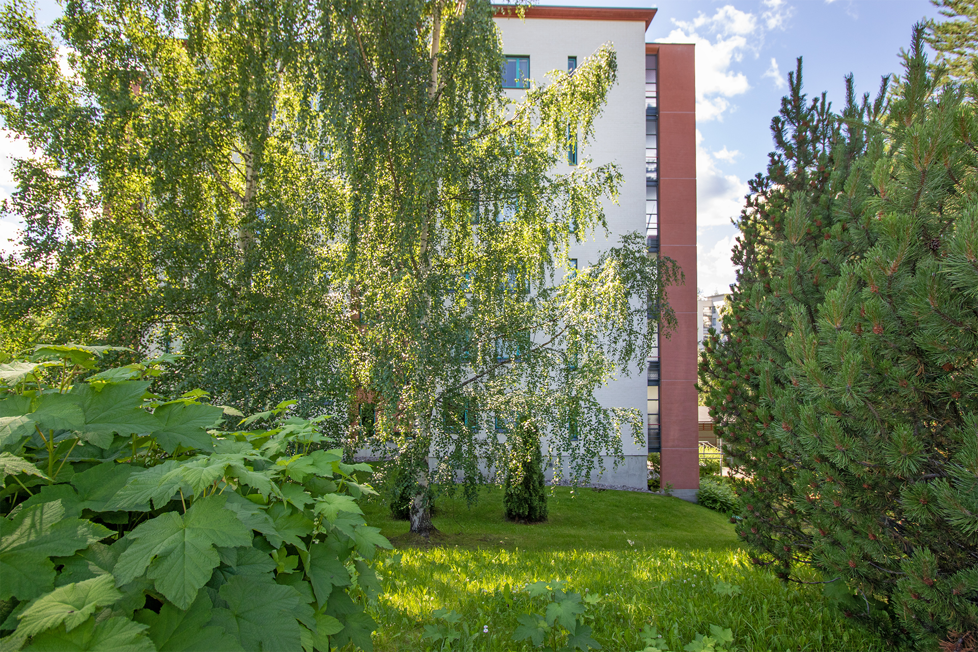Särkilahdenkatu 3, Särkilahti, Kuopio