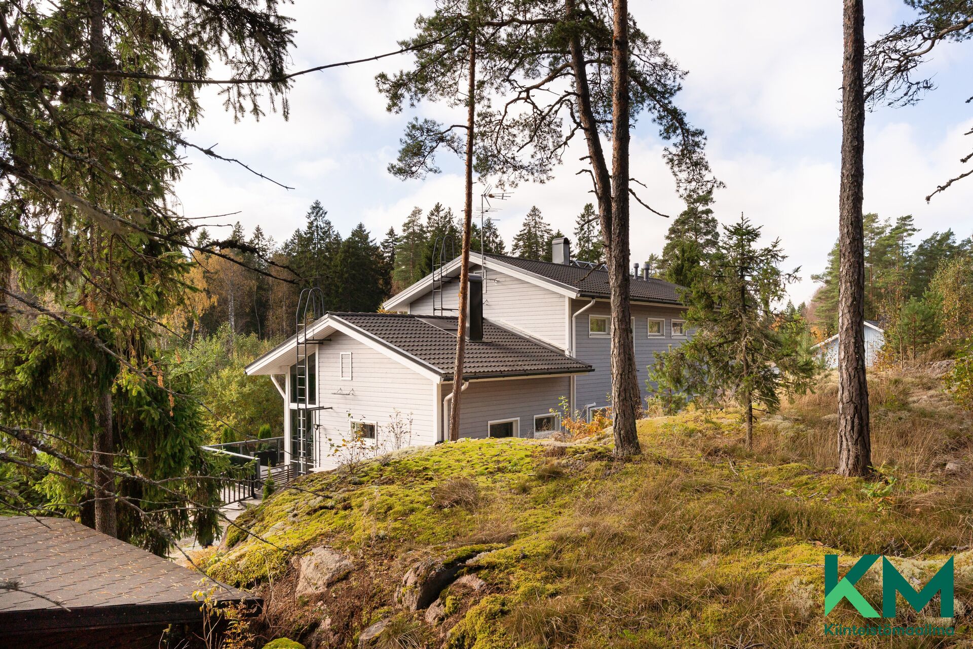 Tontti on metsäinen