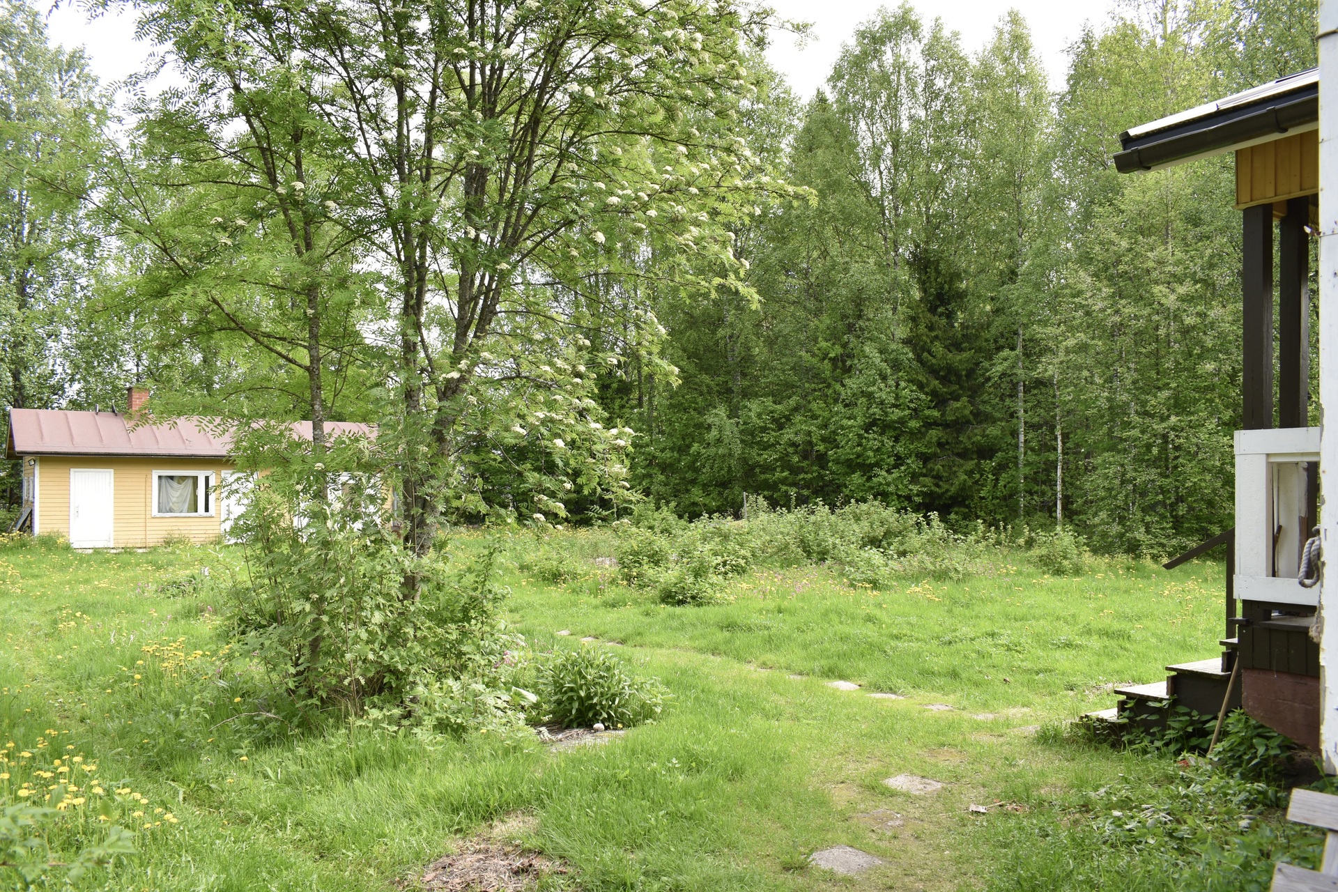 Talvitie 8, Kylmä, Kajaani