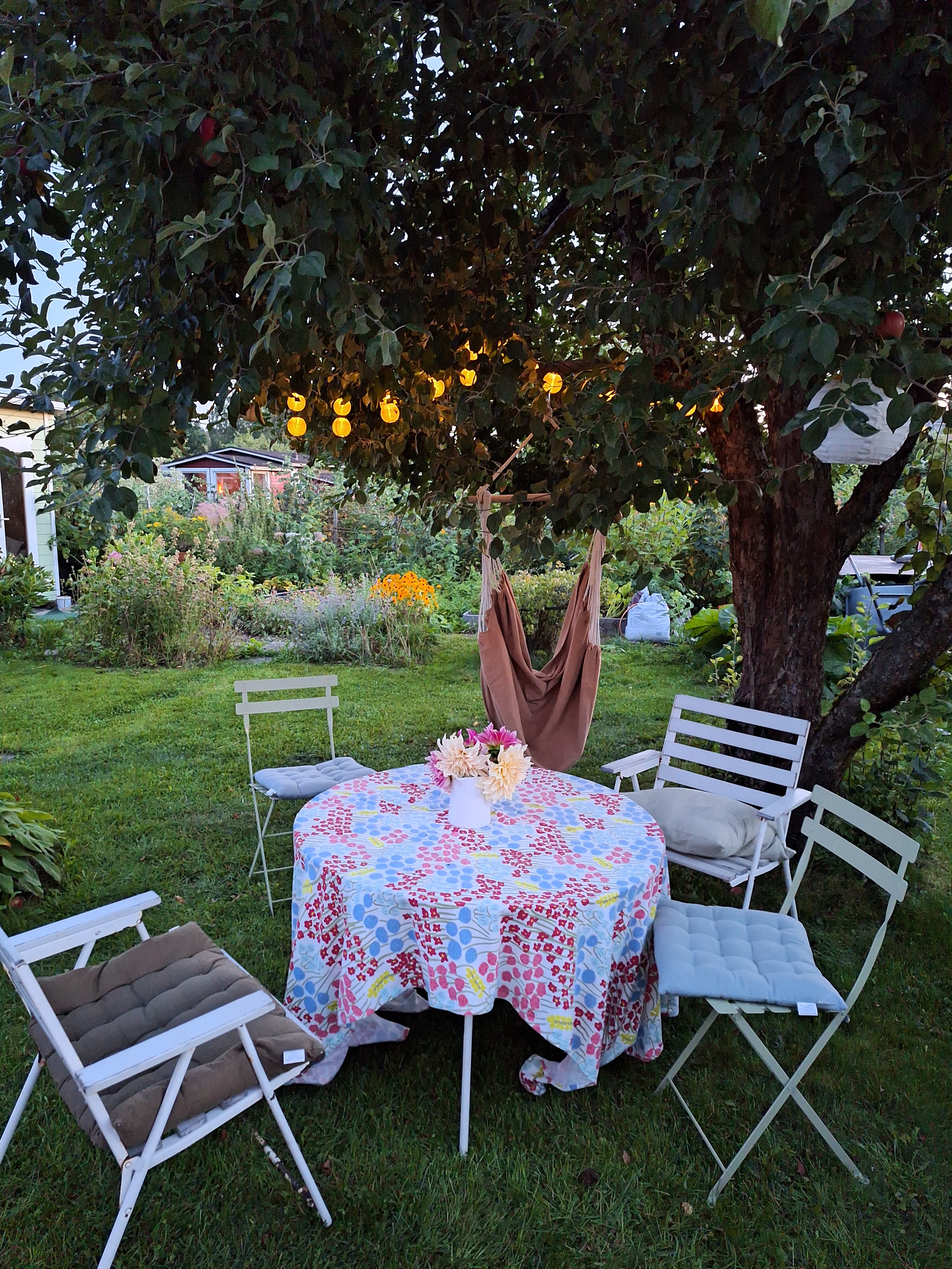 Oulunkylän Siirtolapuutarha, Myllypellontie 6, Akileijapolku 172, Oulunkylä, Helsinki