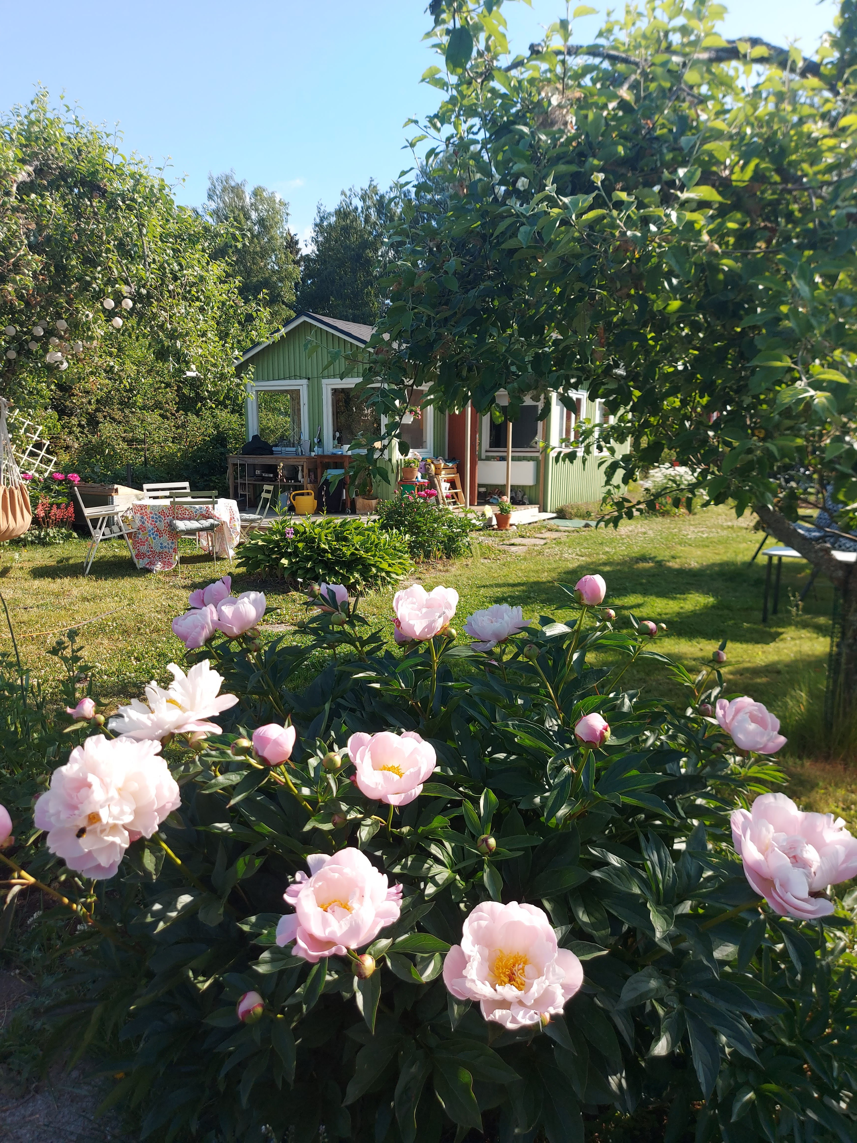 Oulunkylän Siirtolapuutarha, Myllypellontie 6, Akileijapolku 172, Oulunkylä, Helsinki