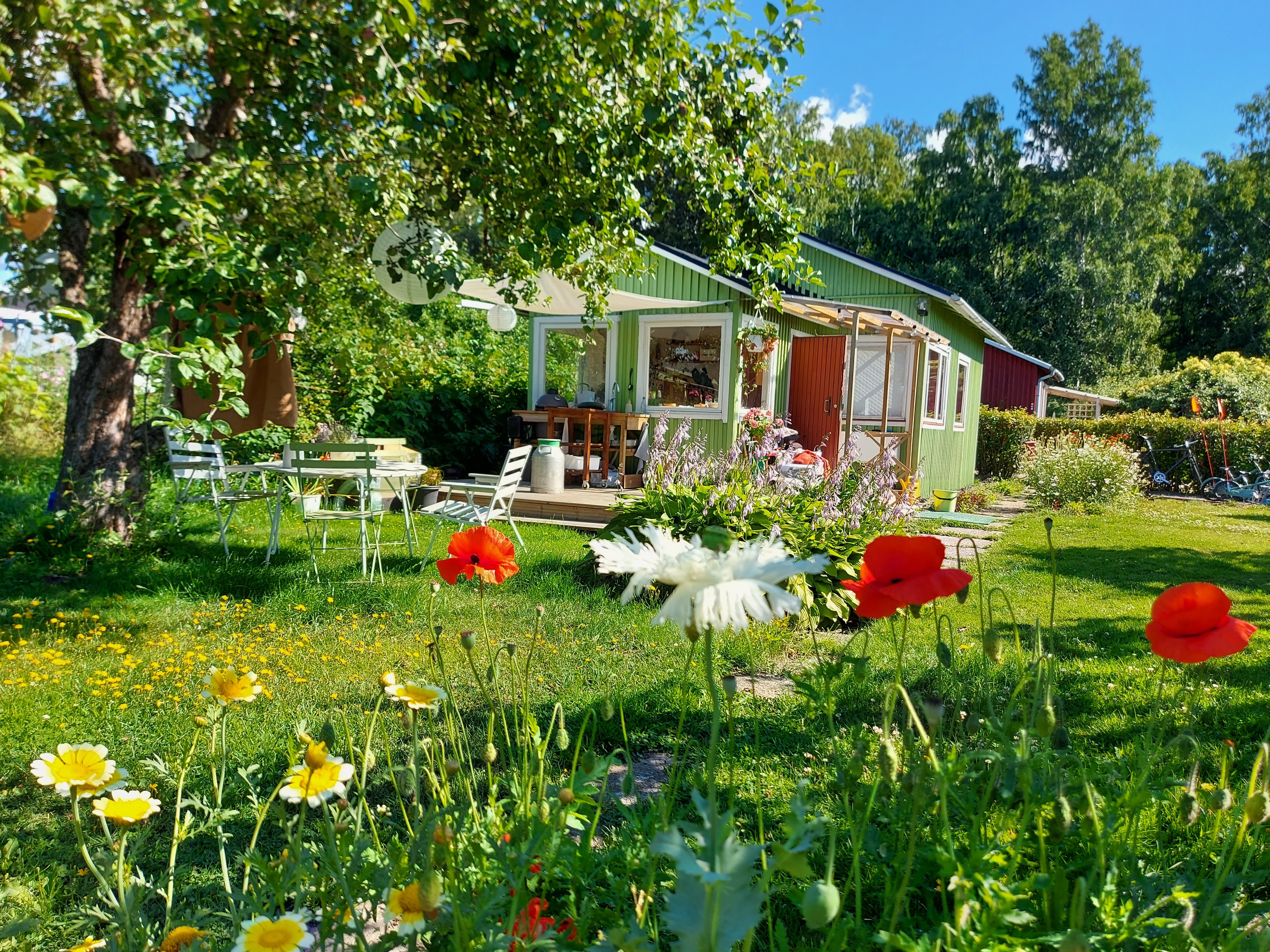 Oulunkylän Siirtolapuutarha, Myllypellontie 6, Akileijapolku 172, Oulunkylä, Helsinki