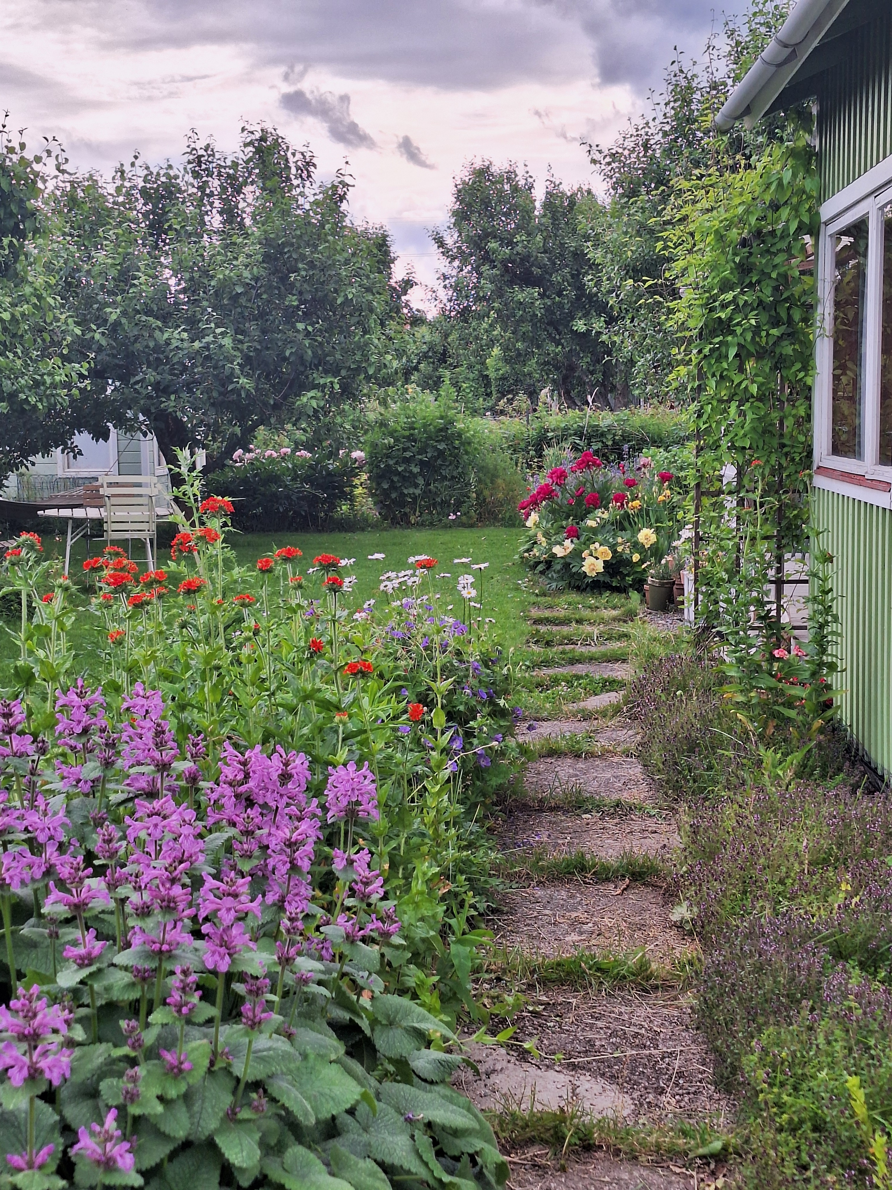 Portilta astuttaessa sisään pihalle on kaunis kukkameri vastassa.