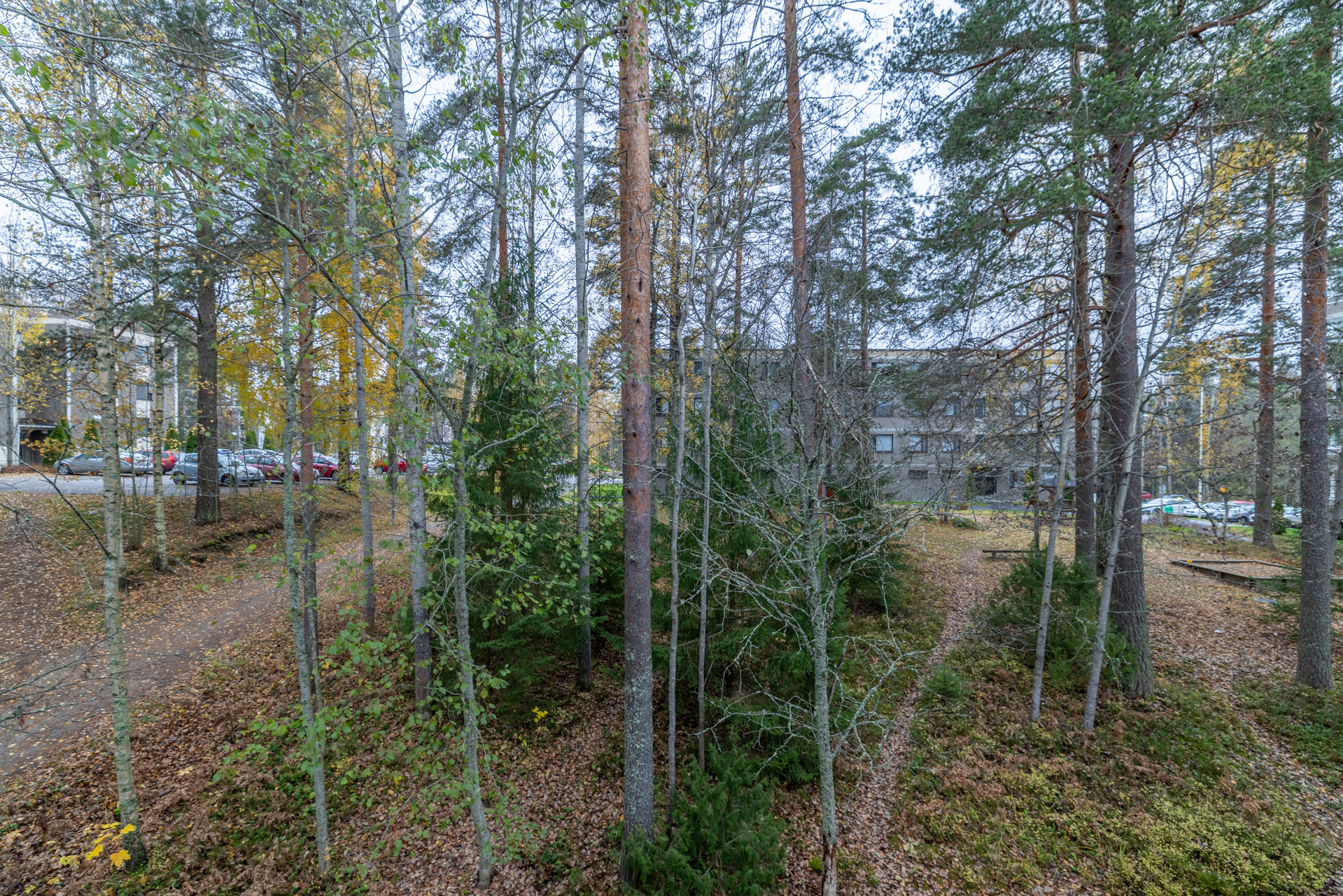 Suksisepäntie 13, Laajalampi, Mikkeli