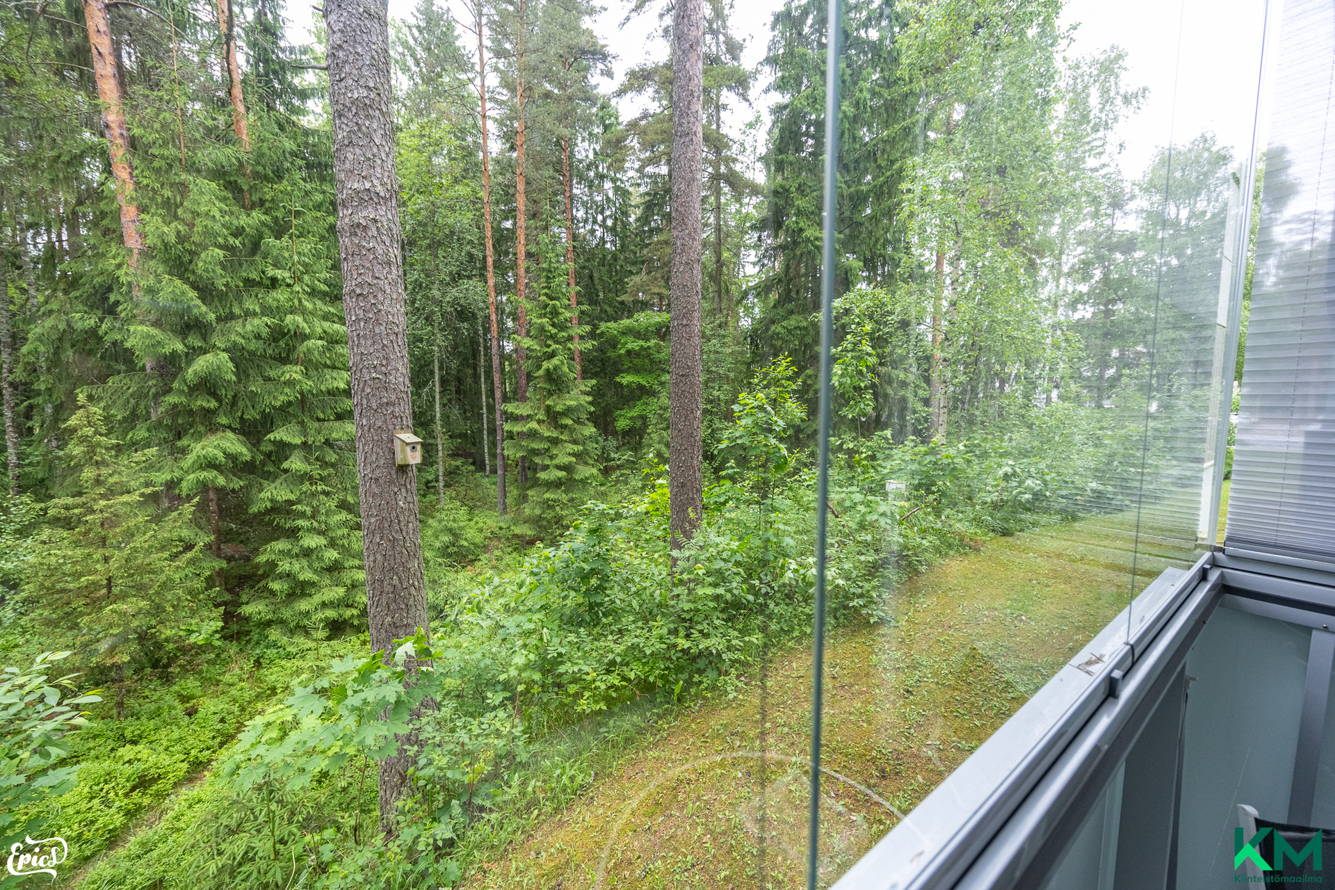 Käräjätörmä 2, Tohloppi, Tampere
