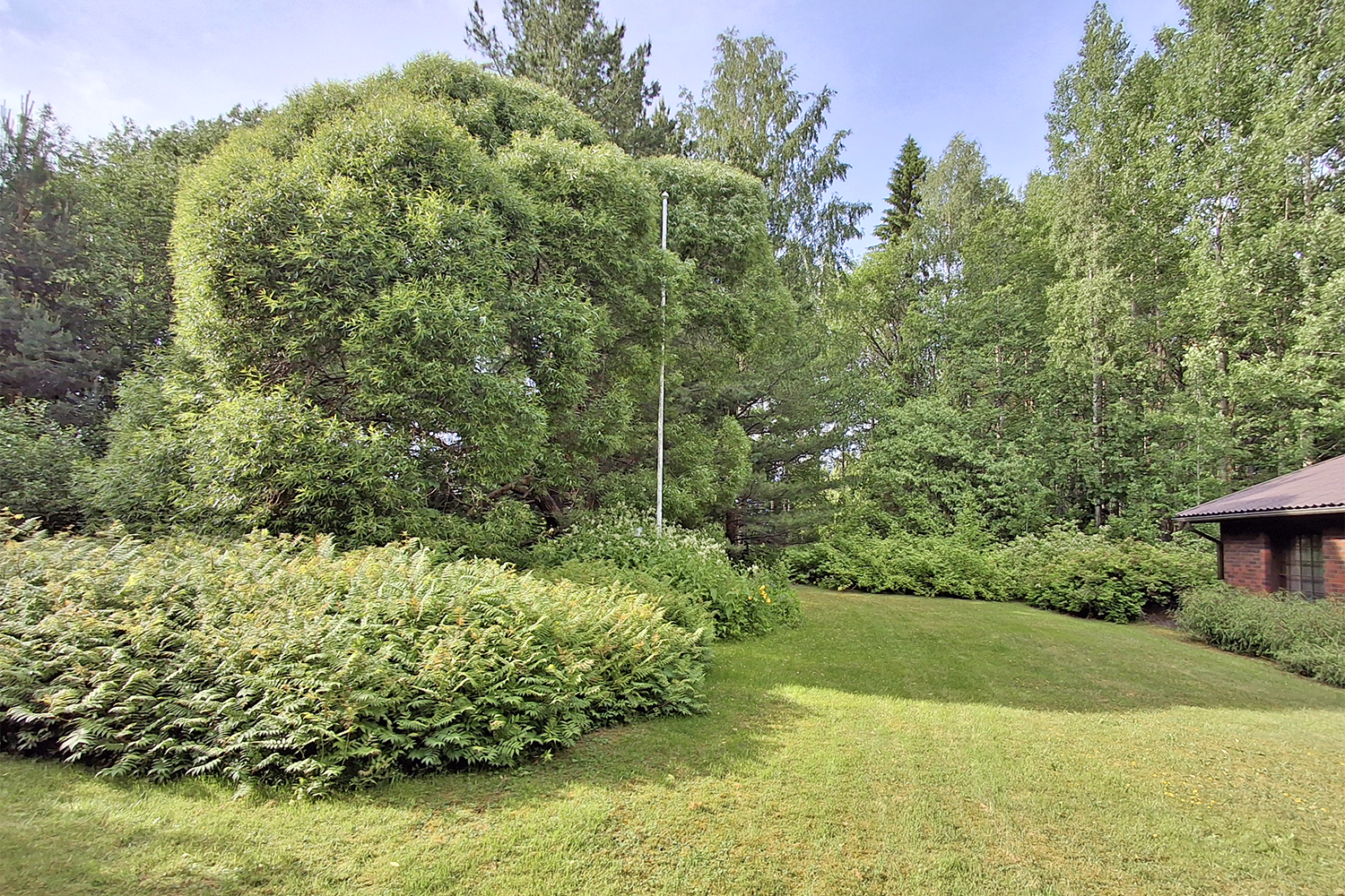 Pelonniemi 136, Pelonniemi, Vartiala