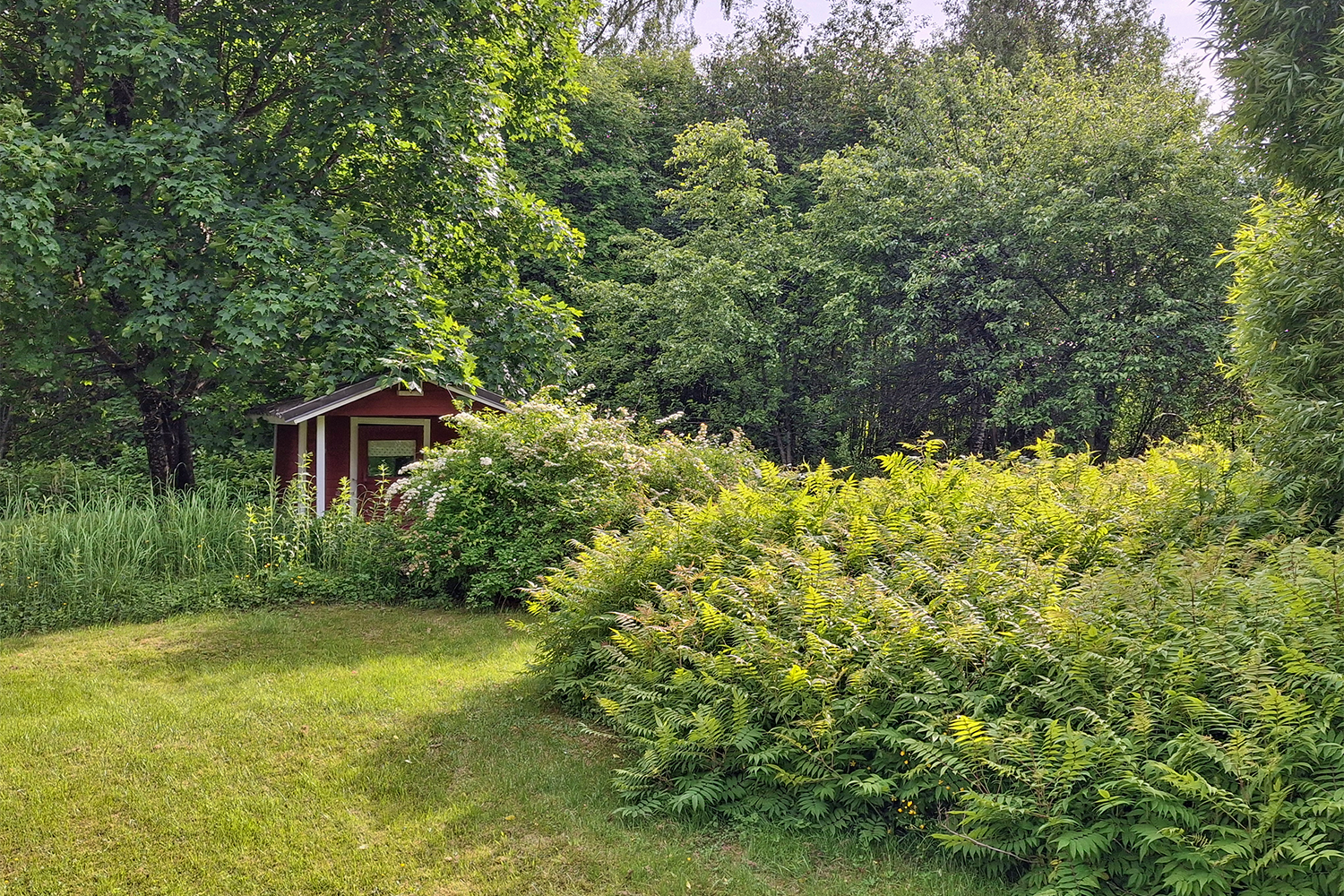 Pelonniemi 136, Pelonniemi, Vartiala