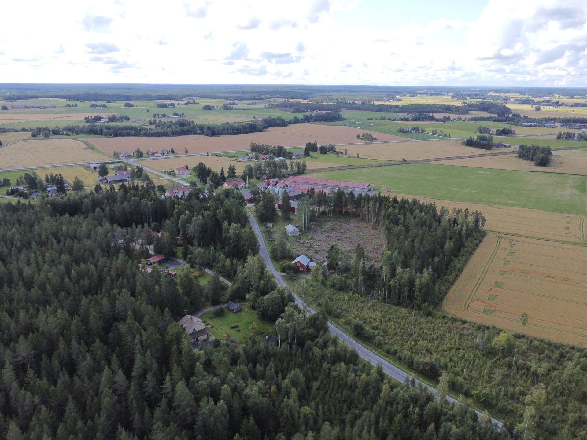 Salonmäentie 83, Mieto, Kurikka