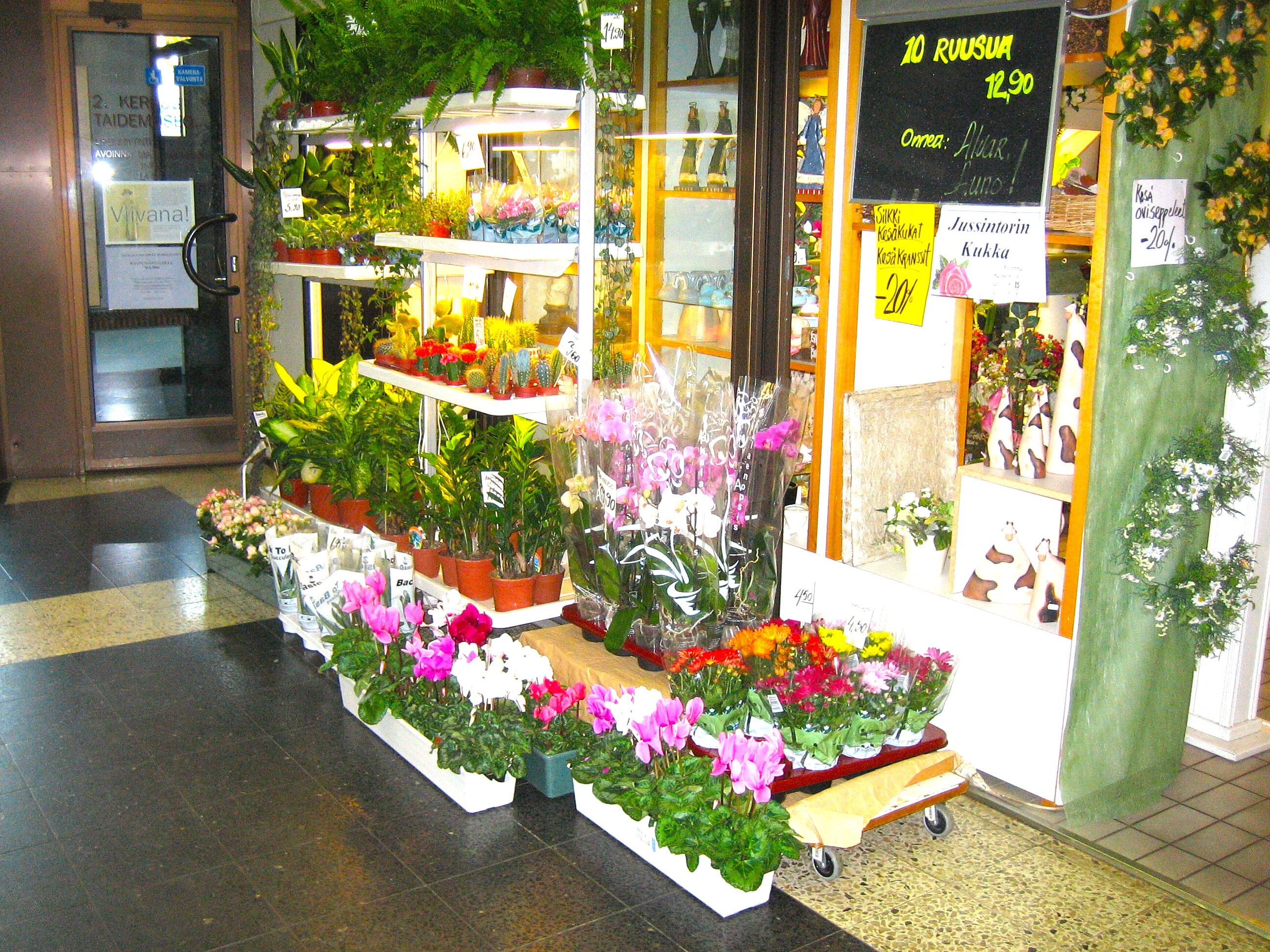 Jussintorin kukan aikaa