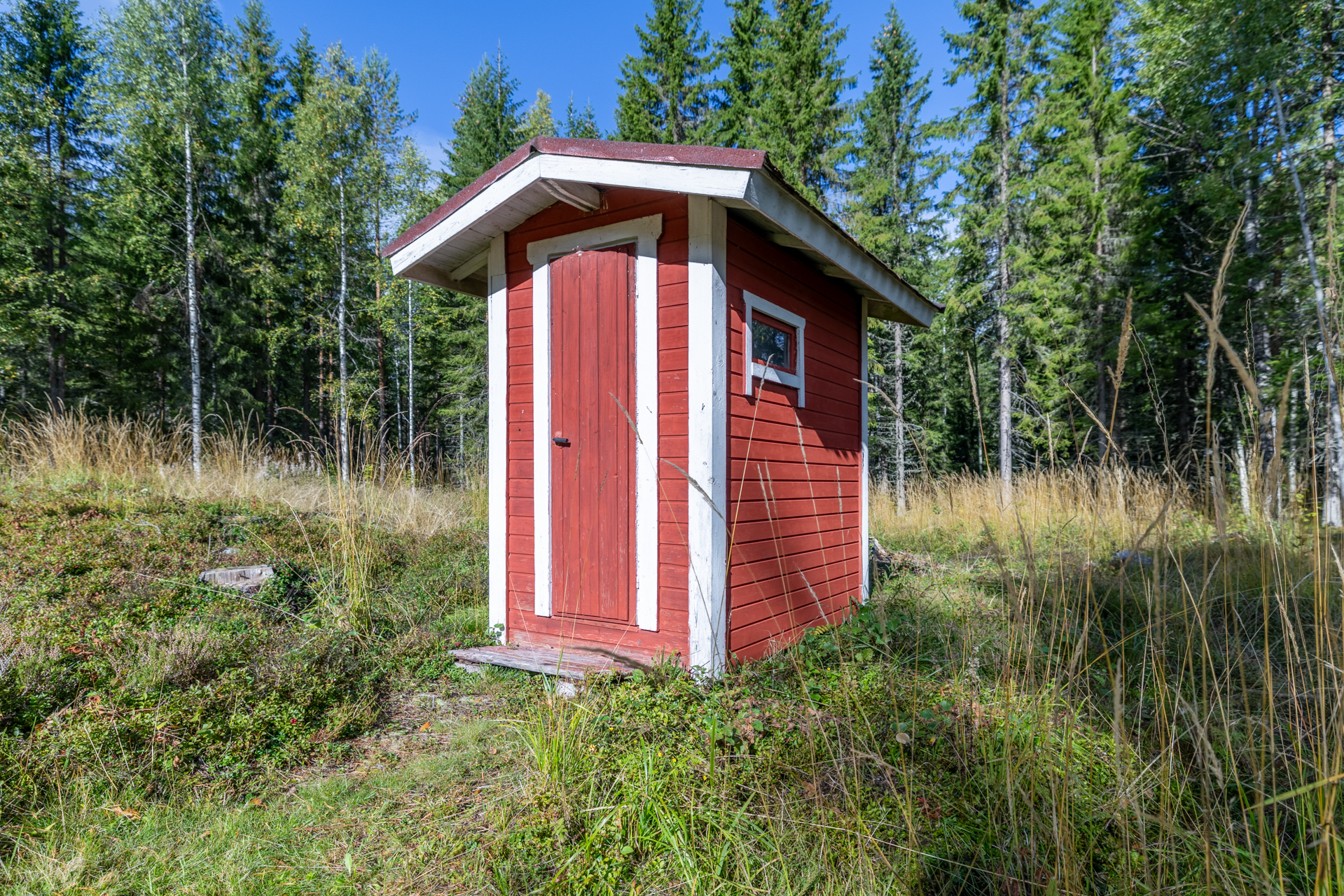 Koittilantie 673 A, Kutemajärvi, Kangasniemi