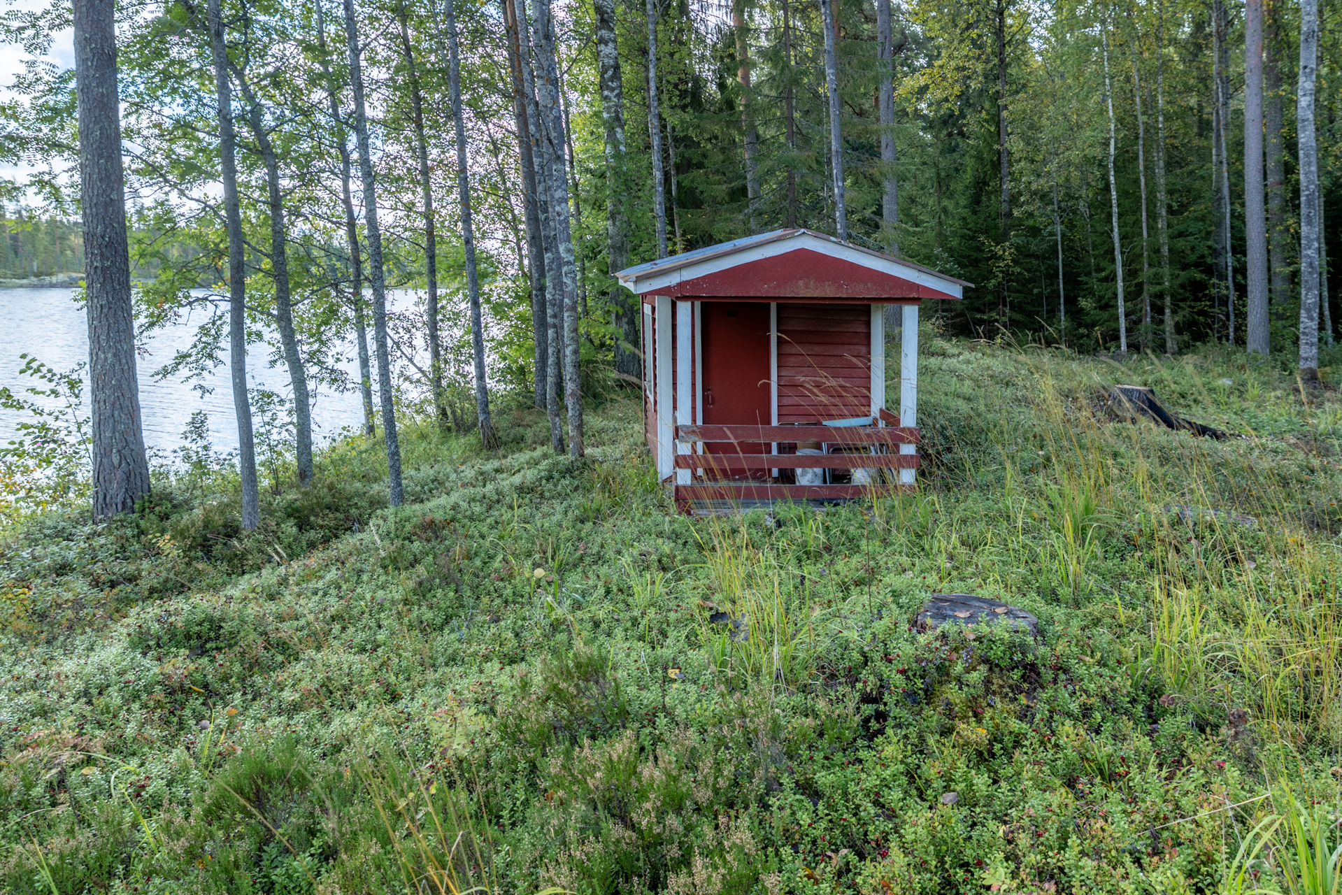 Koittilantie 673 A, Kutemajärvi, Kangasniemi