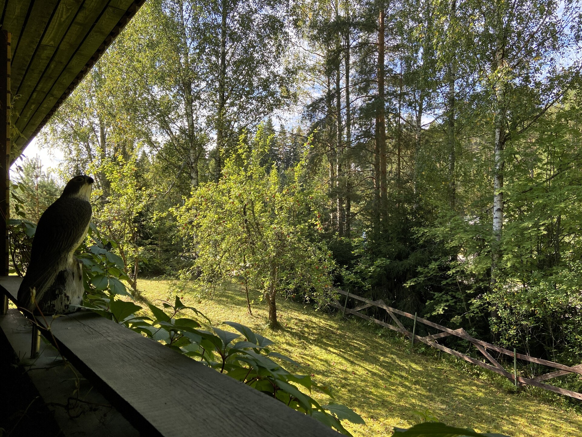 Uuhenkuja 2, Kuusankoski, Kouvola