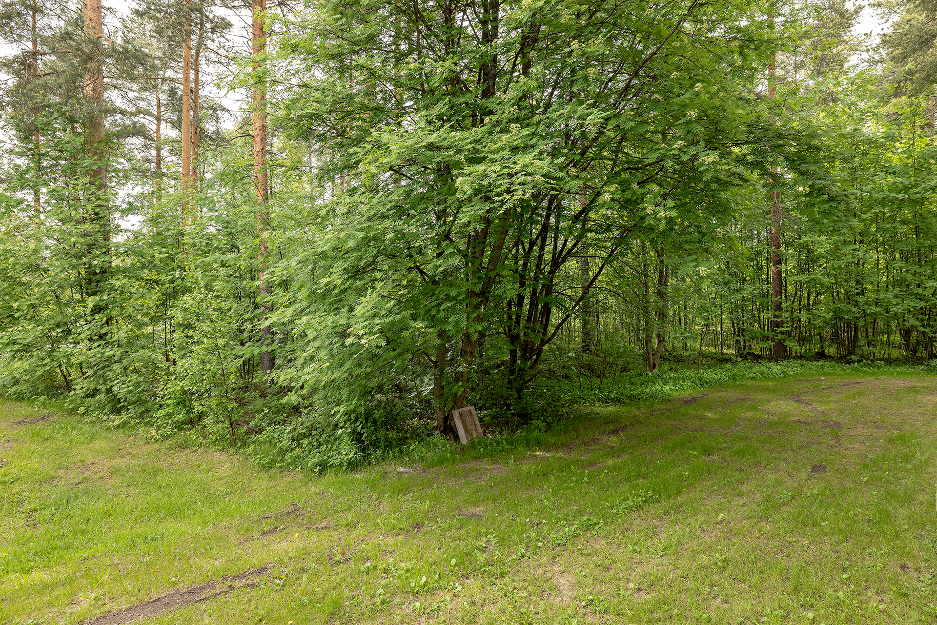Mielikintie 6, Puolivälinkangas, Oulu