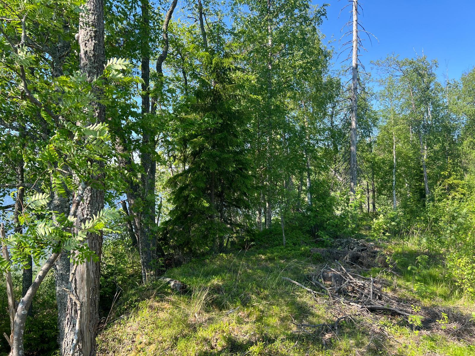 Ihannerannantie, Kuopio