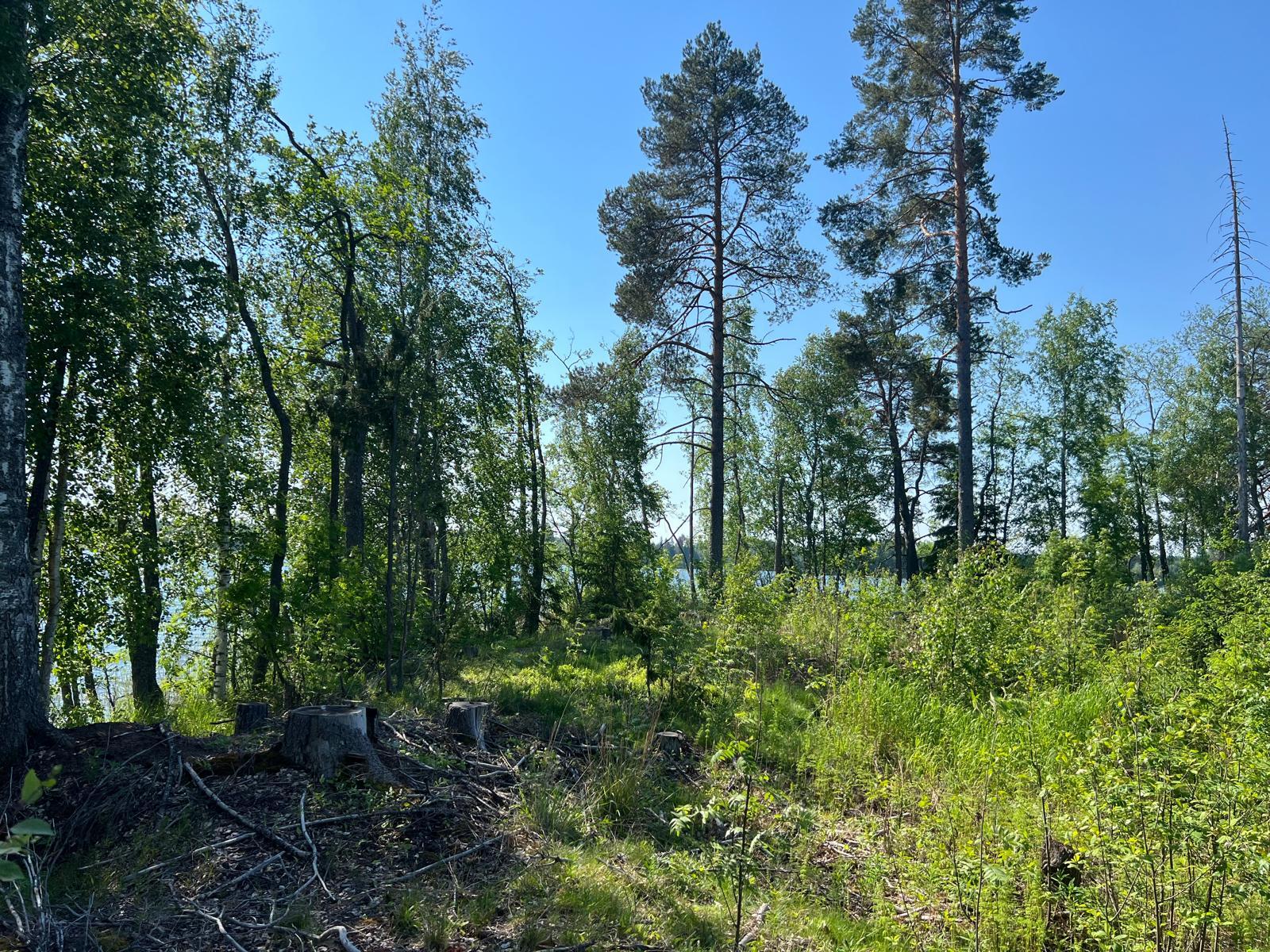 Ihannerannantie, Kuopio