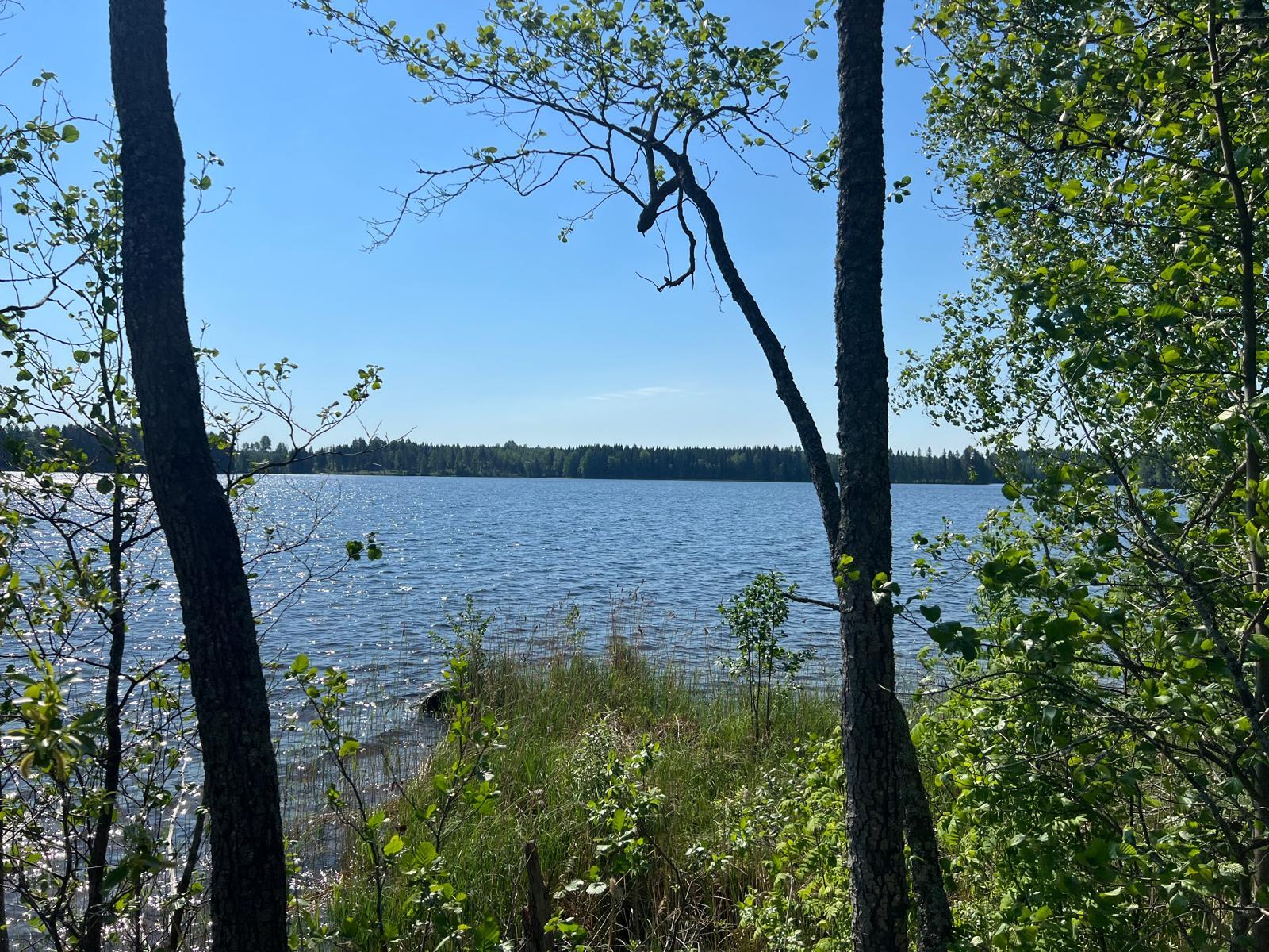 Ihannerannantie, Kuopio