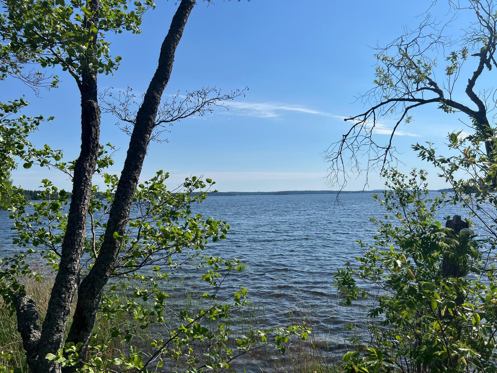 Ihannerannantie, Kuopio