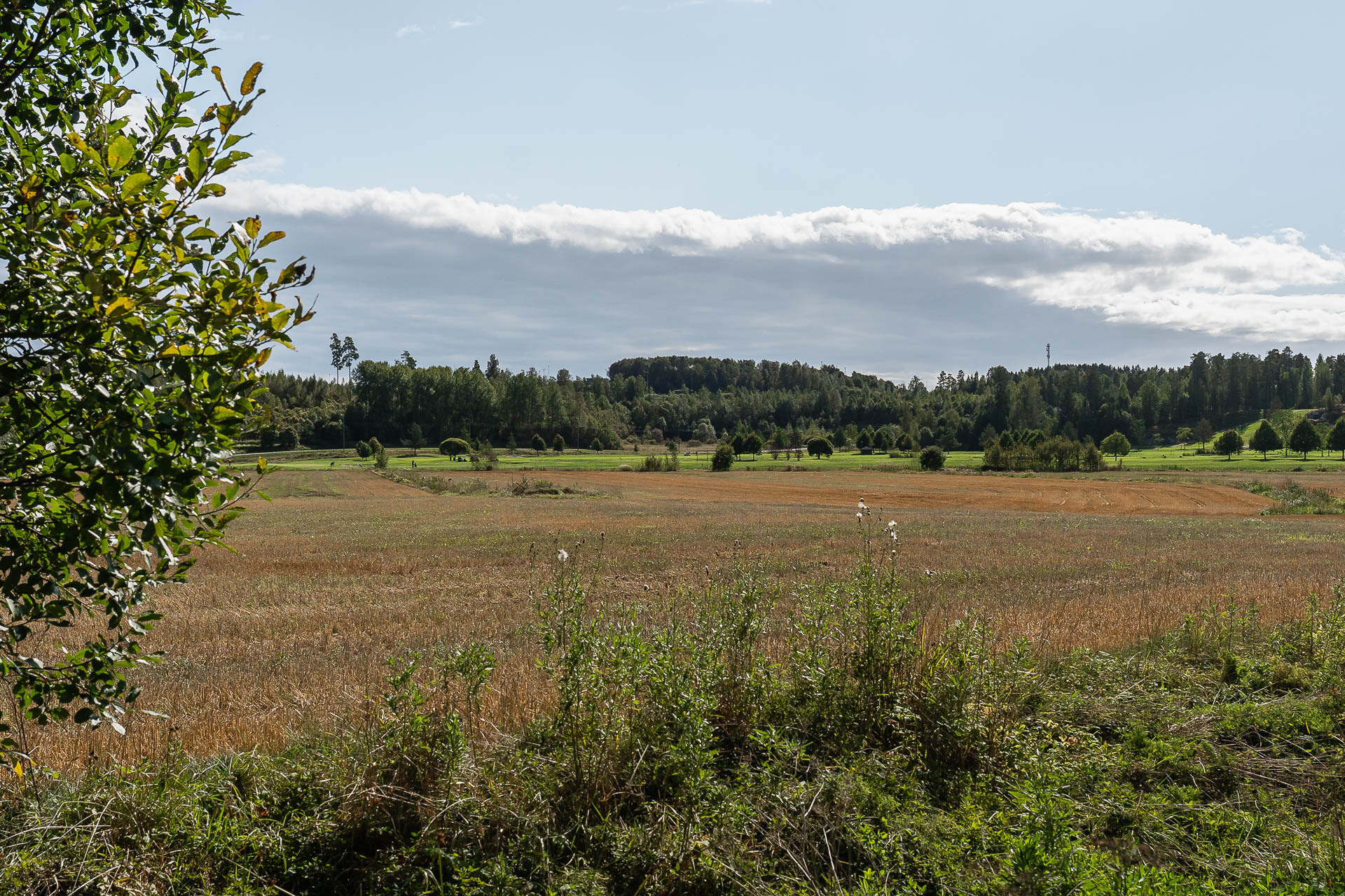 Peltonäkymä