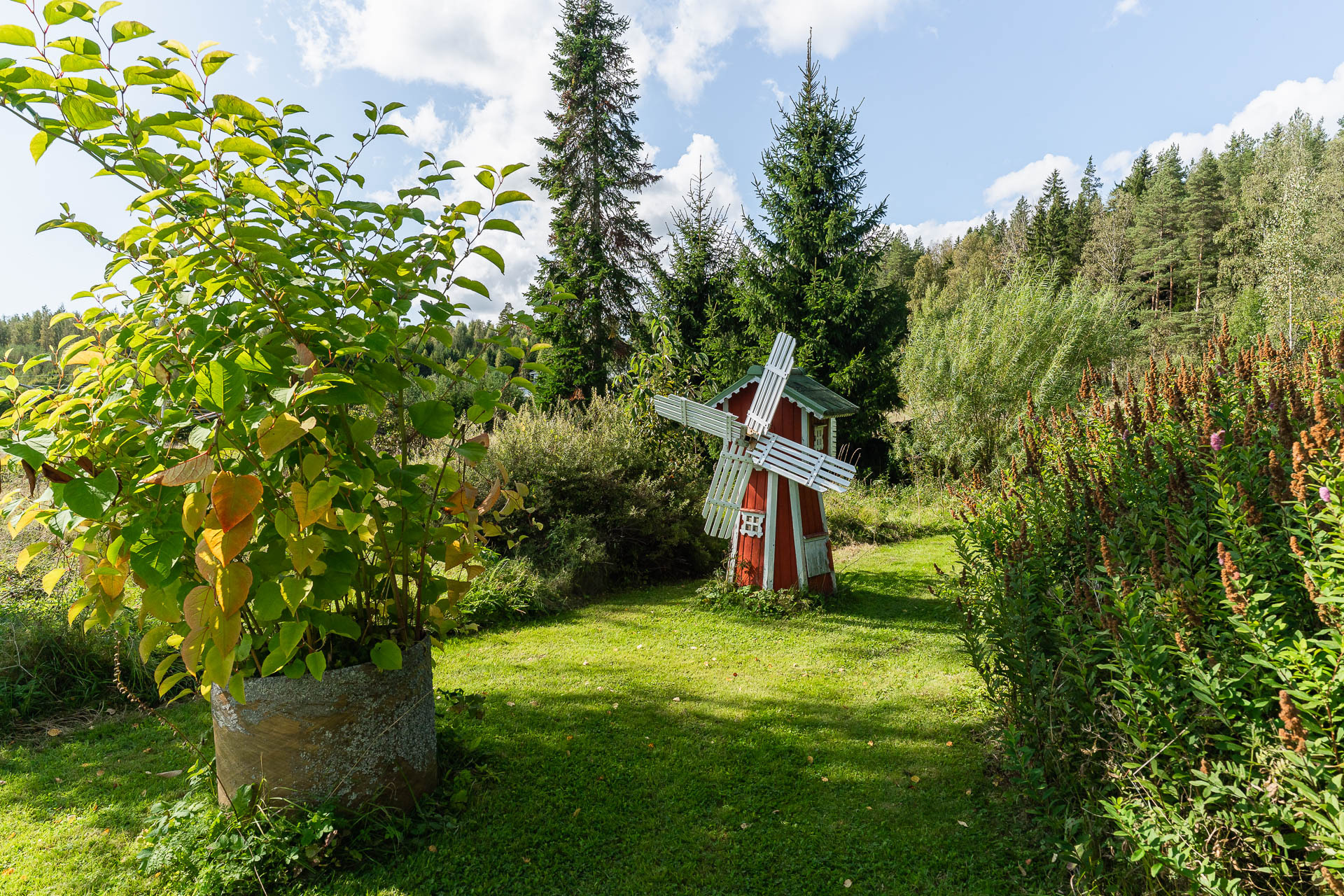 Pihaa