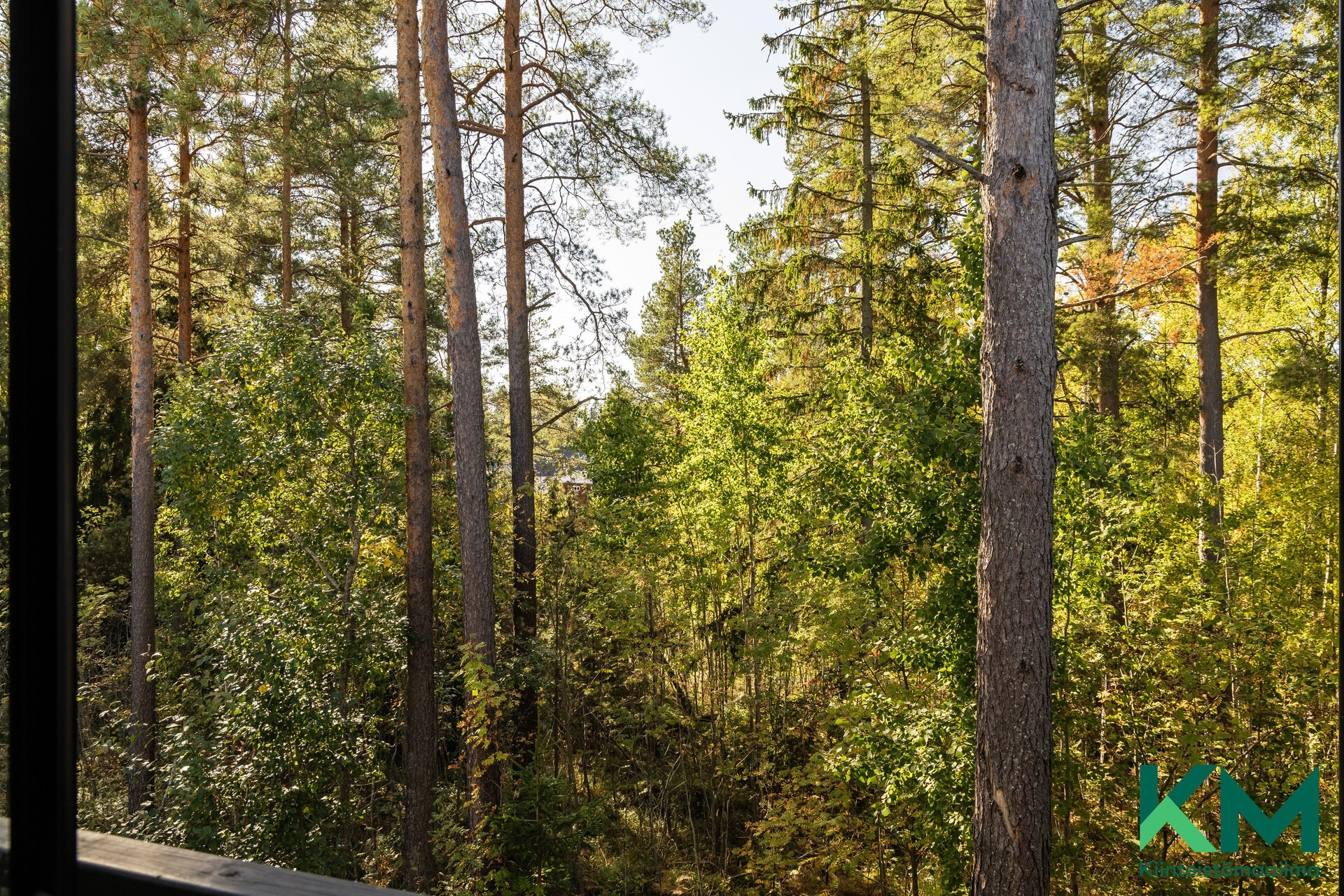 Harmaalaakso 4, Tillinmäki, Espoo