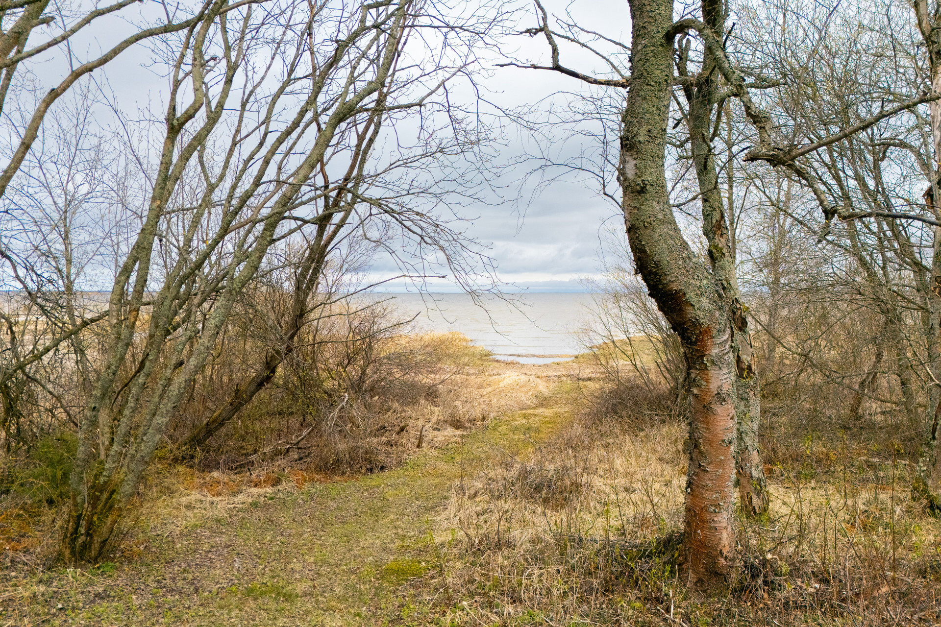 Vatungintie 1, Varjakka, Lumijoki