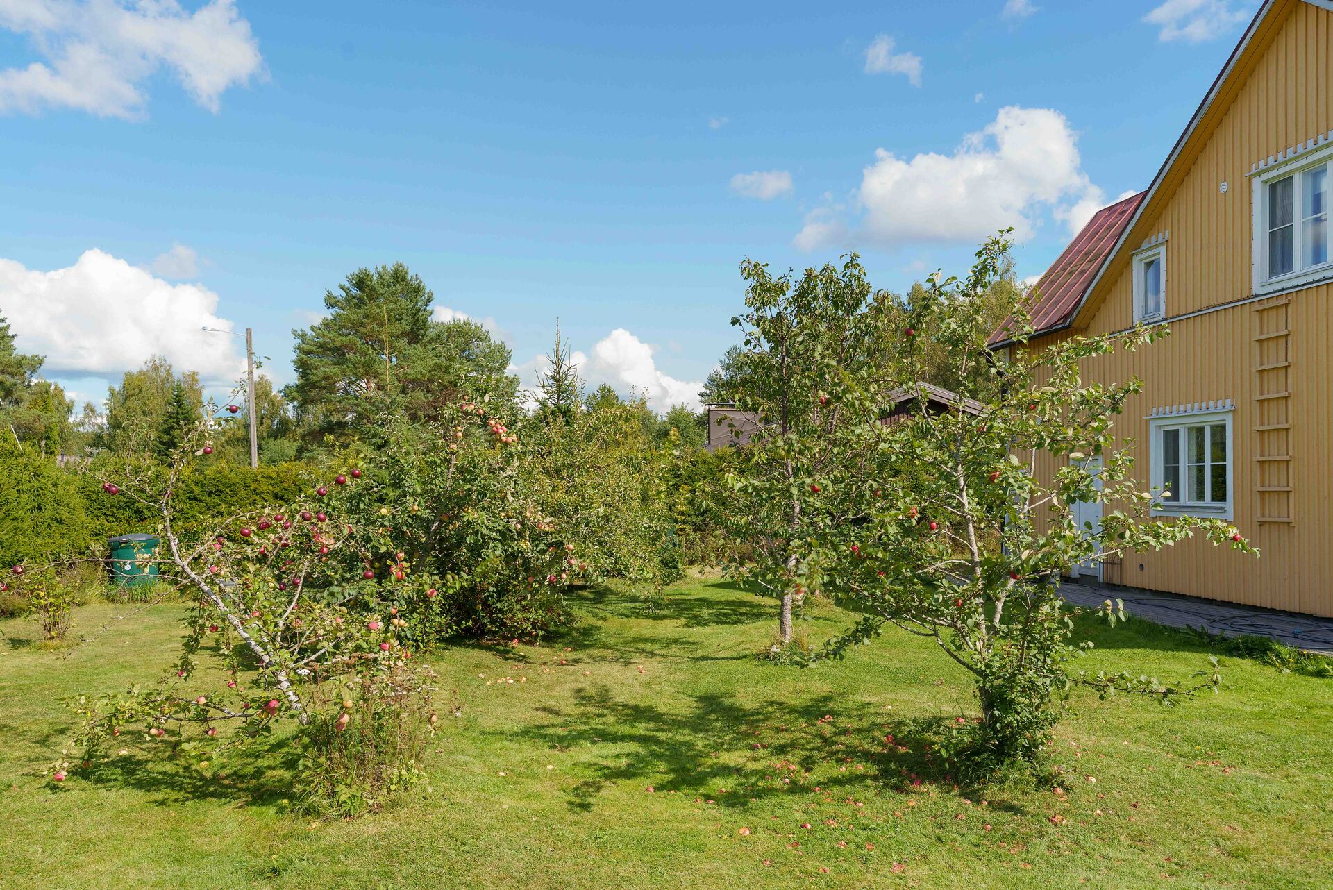Säästöpankintie 20, Bollstad, Siuntio