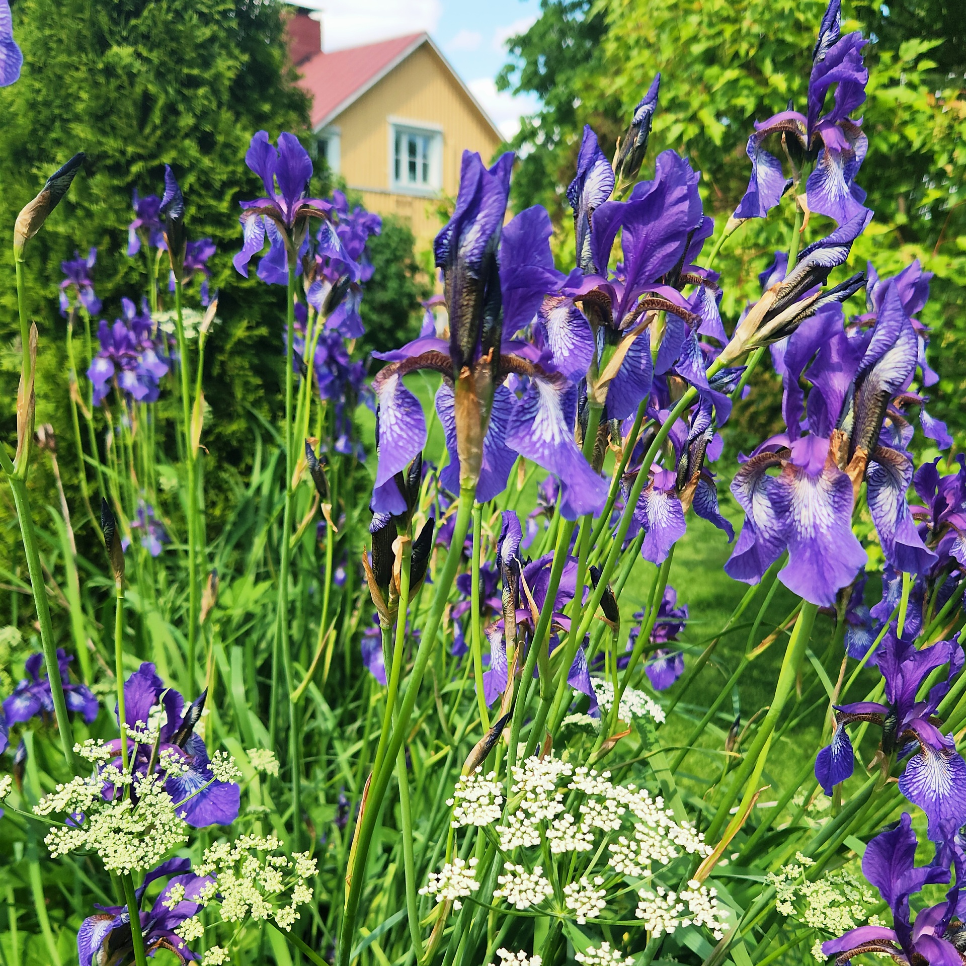 Säästöpankintie 20, Bollstad, Siuntio