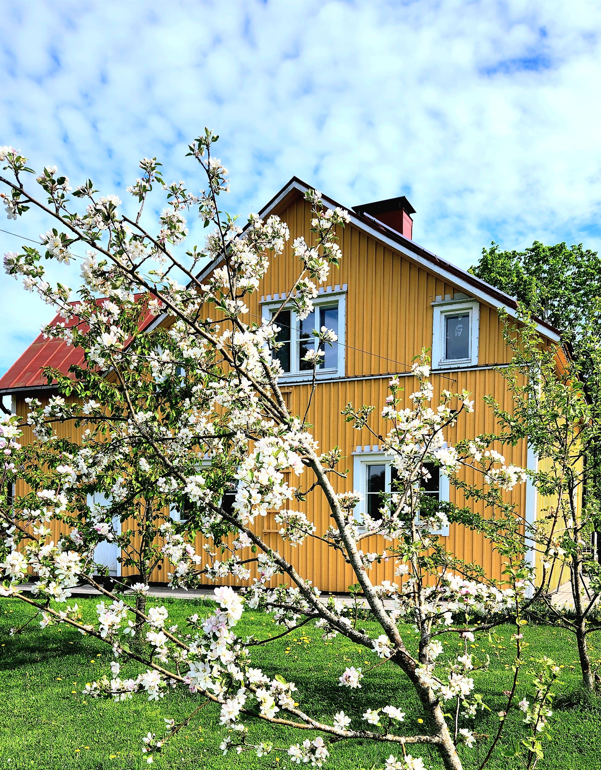Säästöpankintie 20, Bollstad, Siuntio
