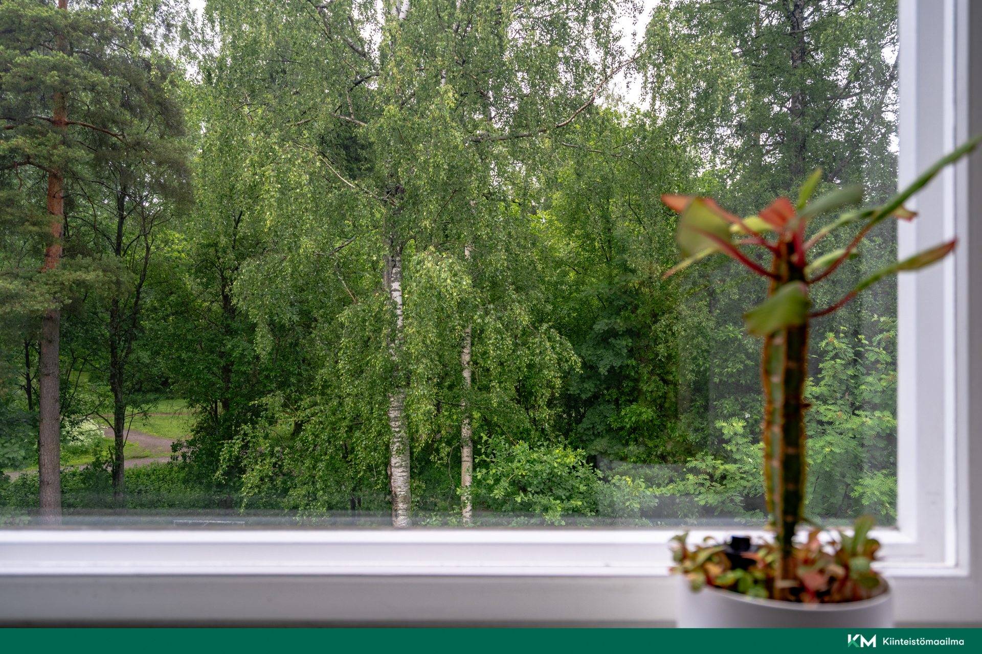 Näkymä makuuhuoneesta