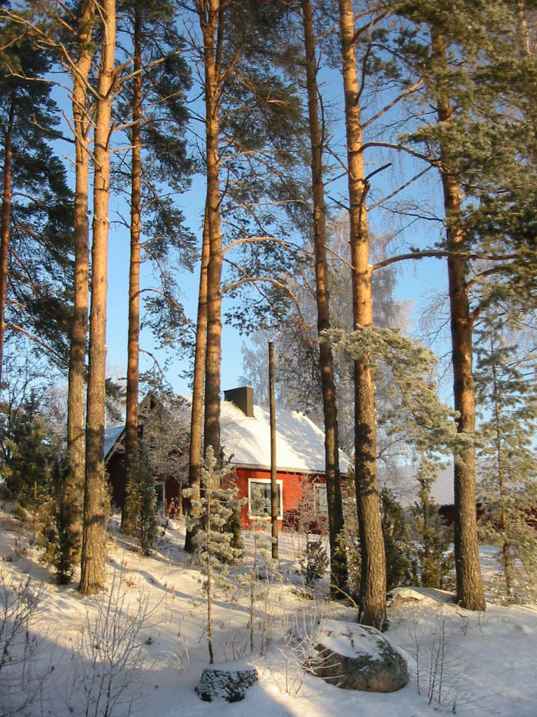 Talvikuvia 