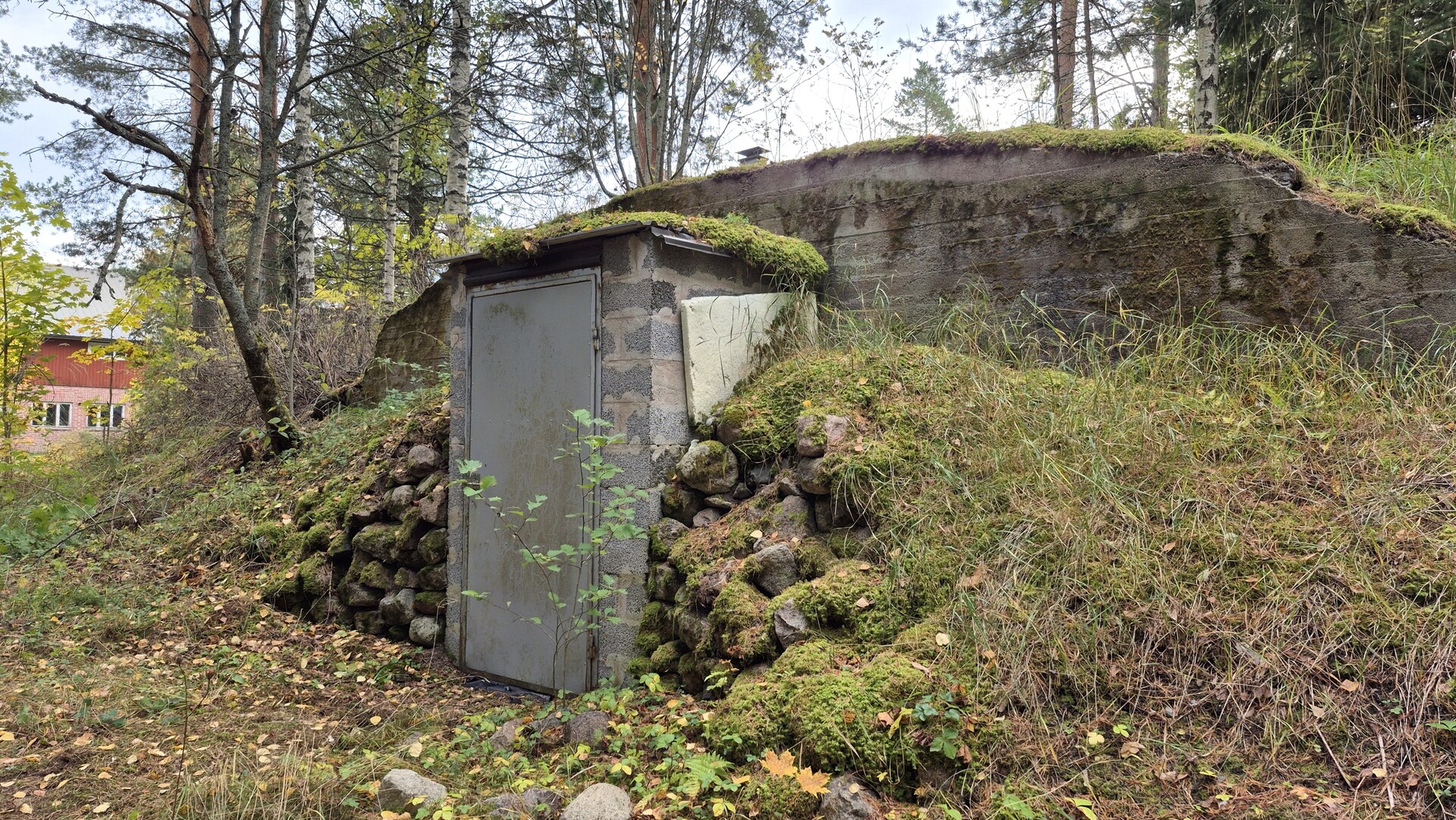 Maakellari