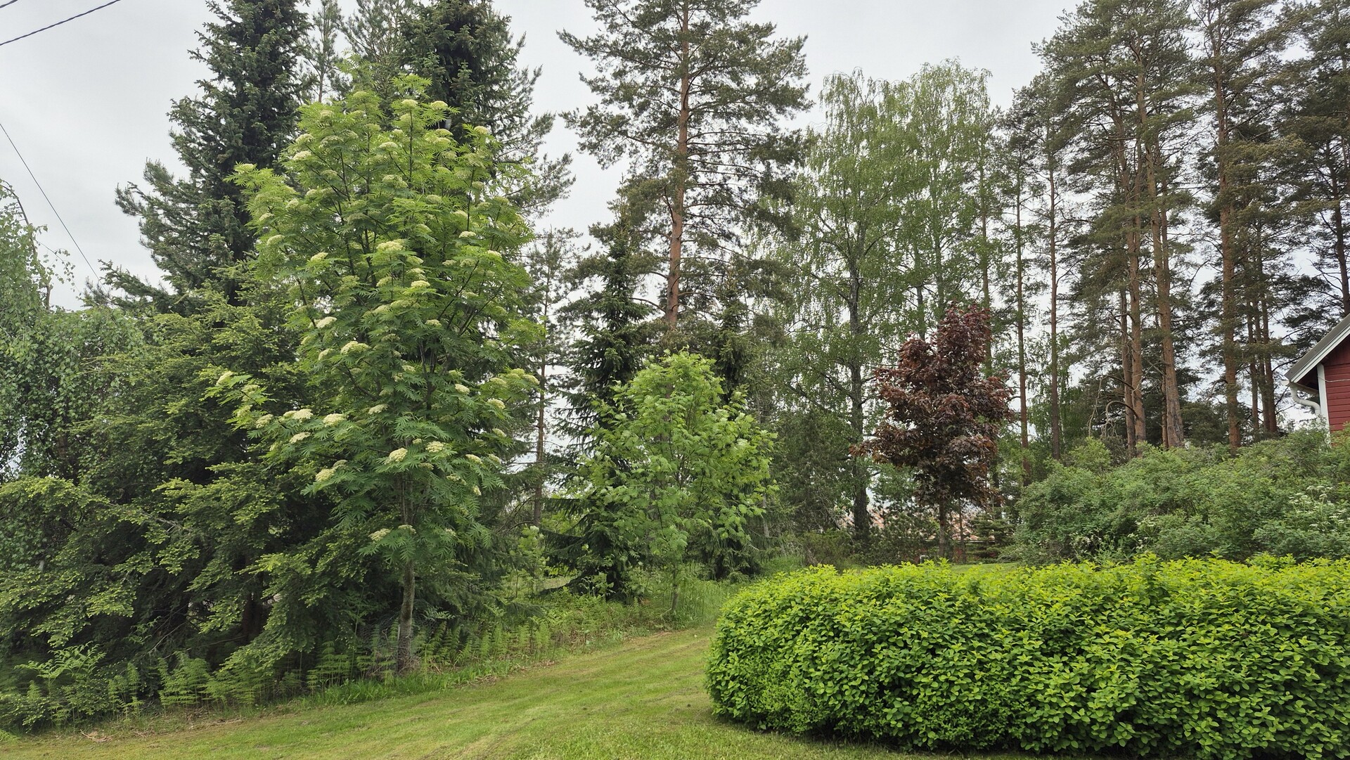 Vainiontie 104, Lyöttilä, Iitti