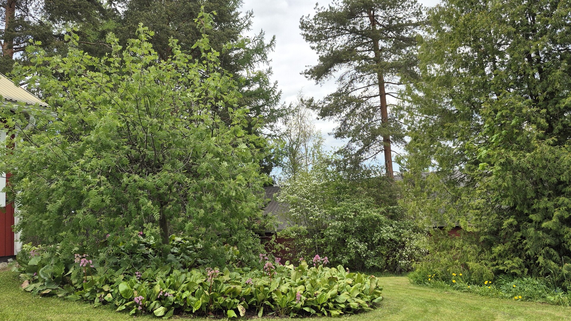 Vainiontie 104, Lyöttilä, Iitti