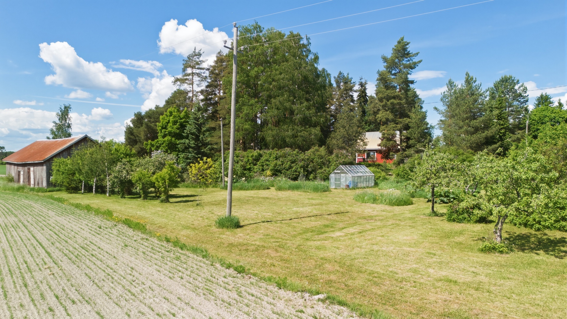 Kasvipuutarha