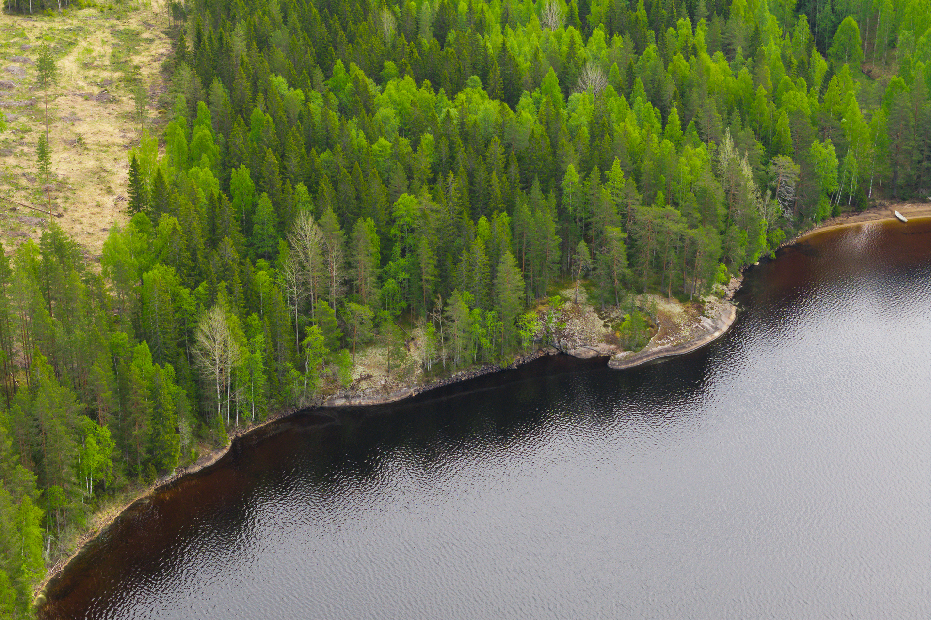 Pihtiputaantie 2021 A, Löytänä, Viitasaari
