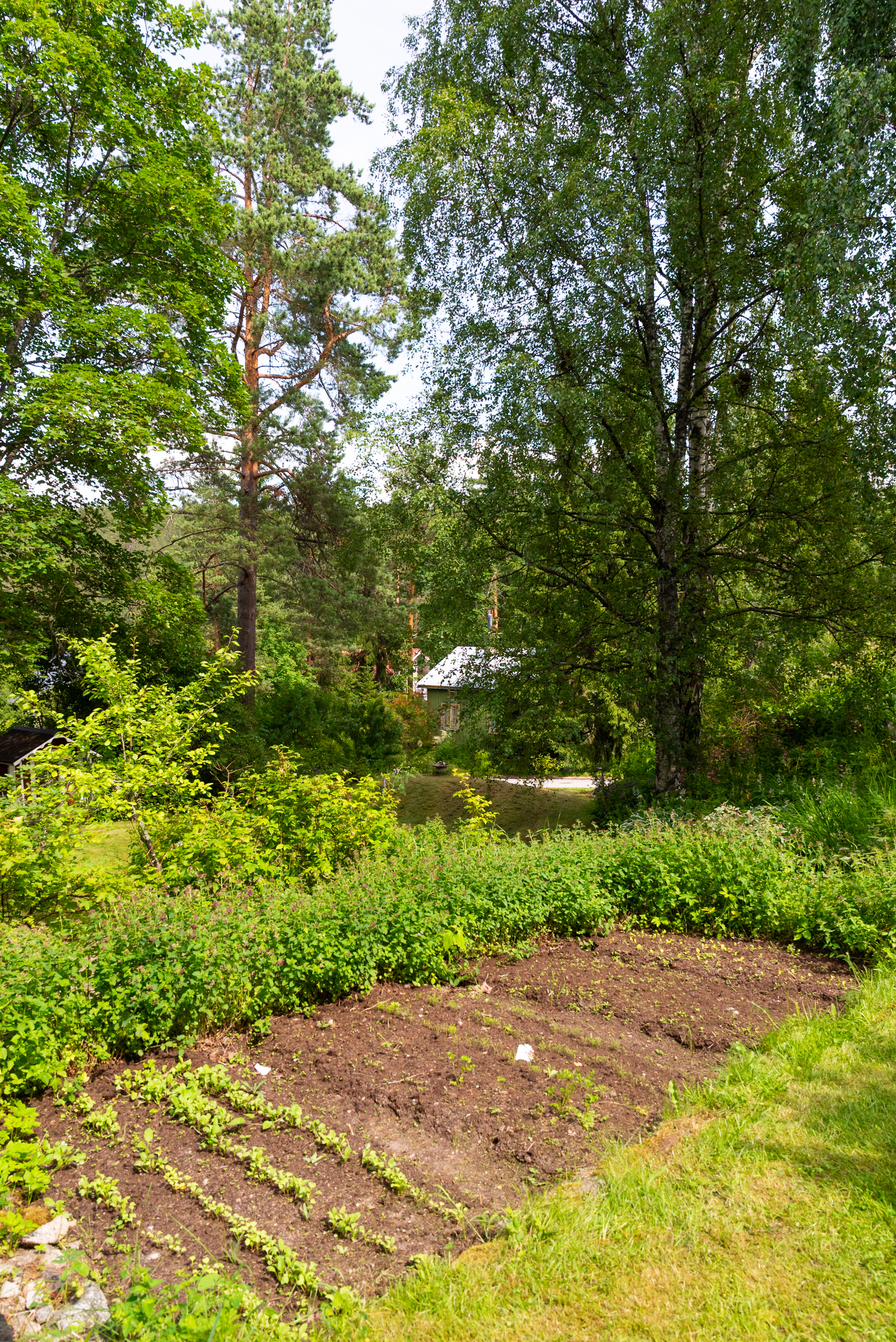 Tyynelänmäentie 4, Vaajakoski, Jyväskylä