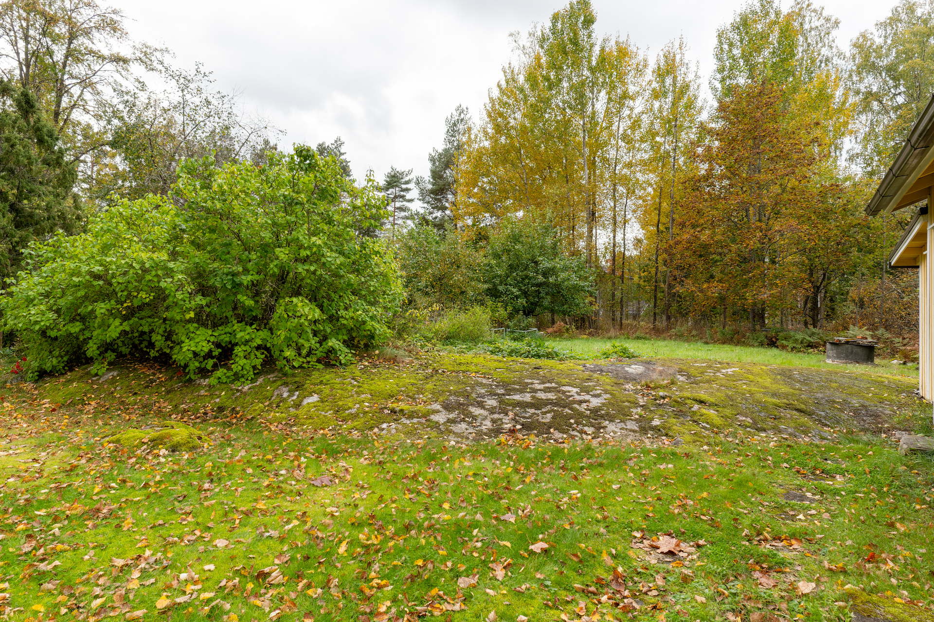 Muuttolinnunreitti 5a, Lintuvaara, Espoo