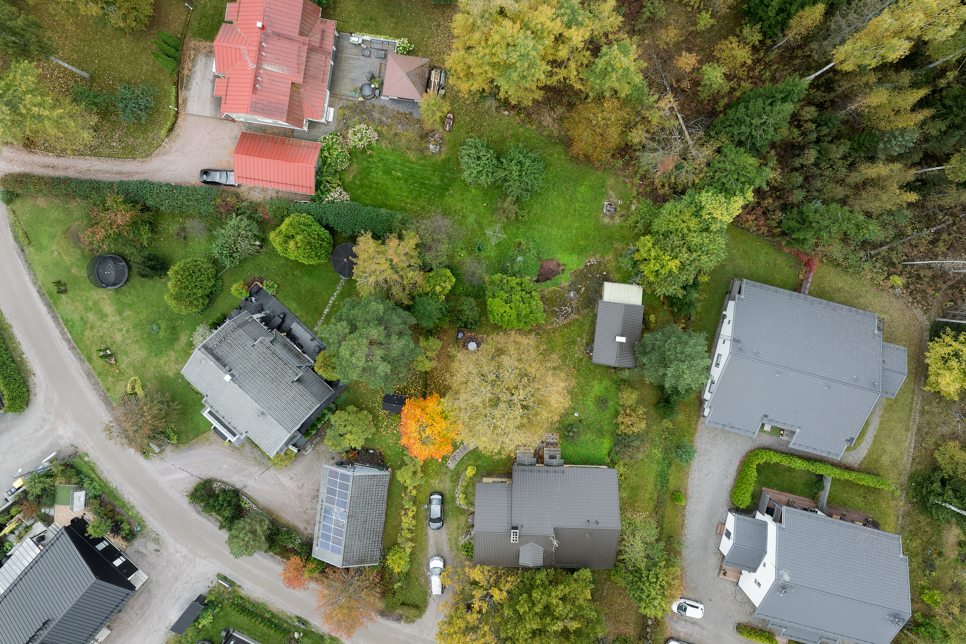 Muuttolinnunreitti 5a, Lintuvaara, Espoo