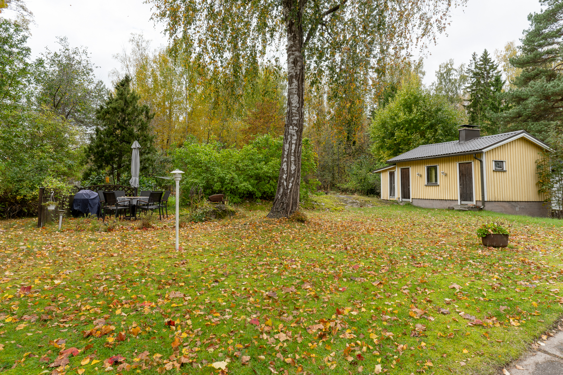 Muuttolinnunreitti 5a, Lintuvaara, Espoo