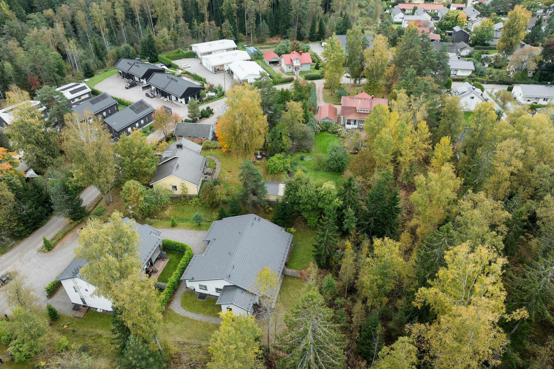 Muuttolinnunreitti 5a, Lintuvaara, Espoo