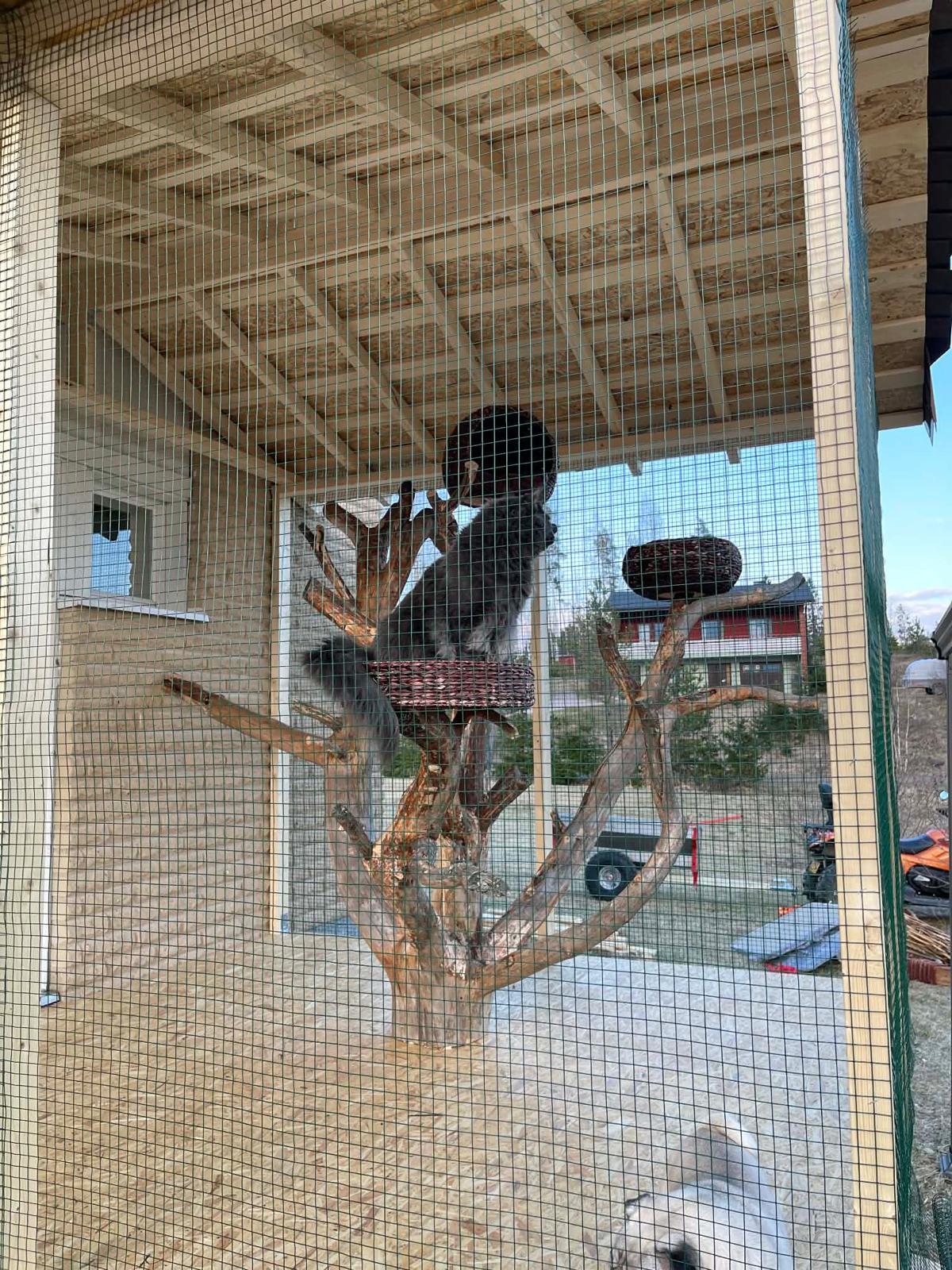 Reinilä 23, Tuusula