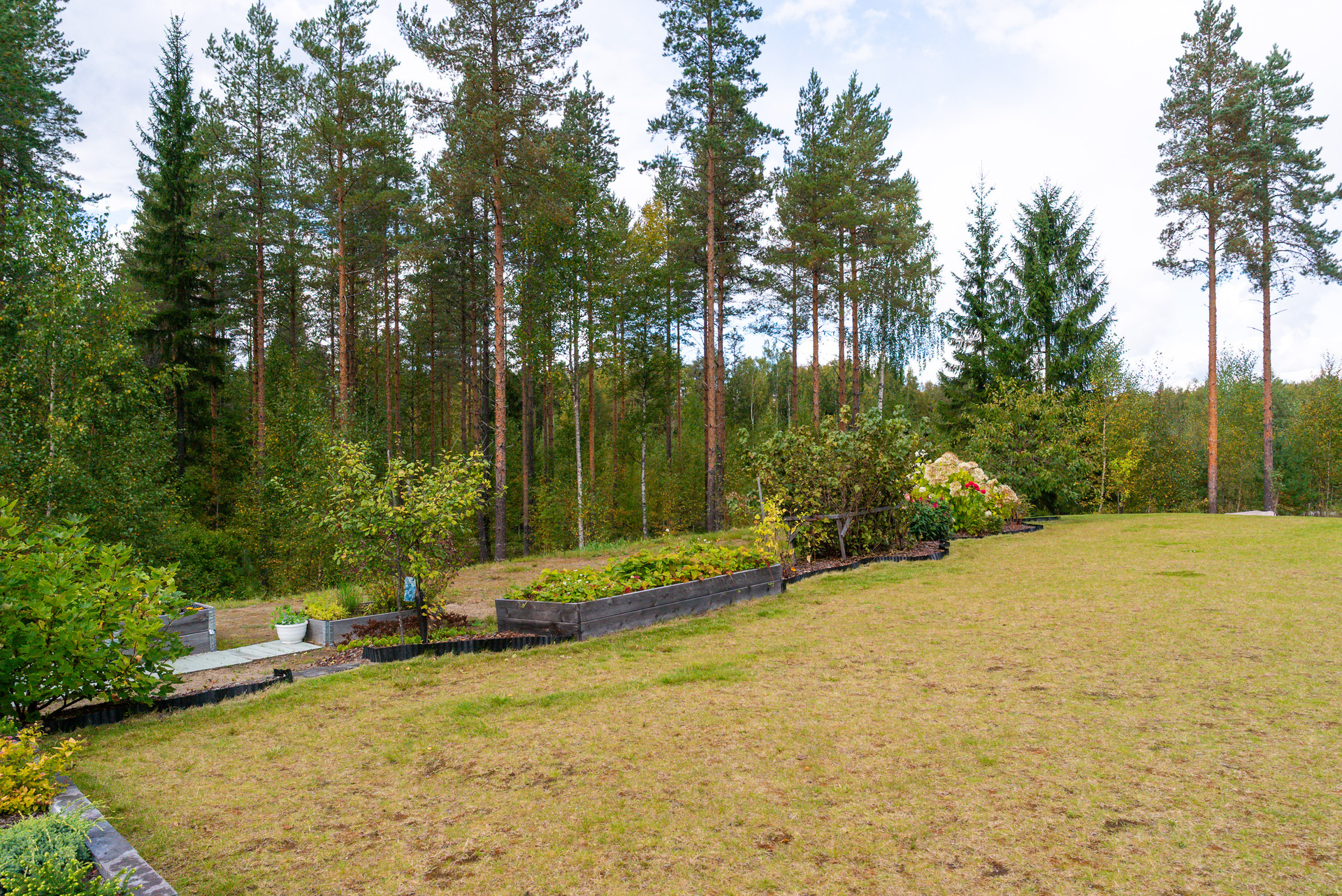 Alimmaisenlenkki 18, Kuikka, Uurainen